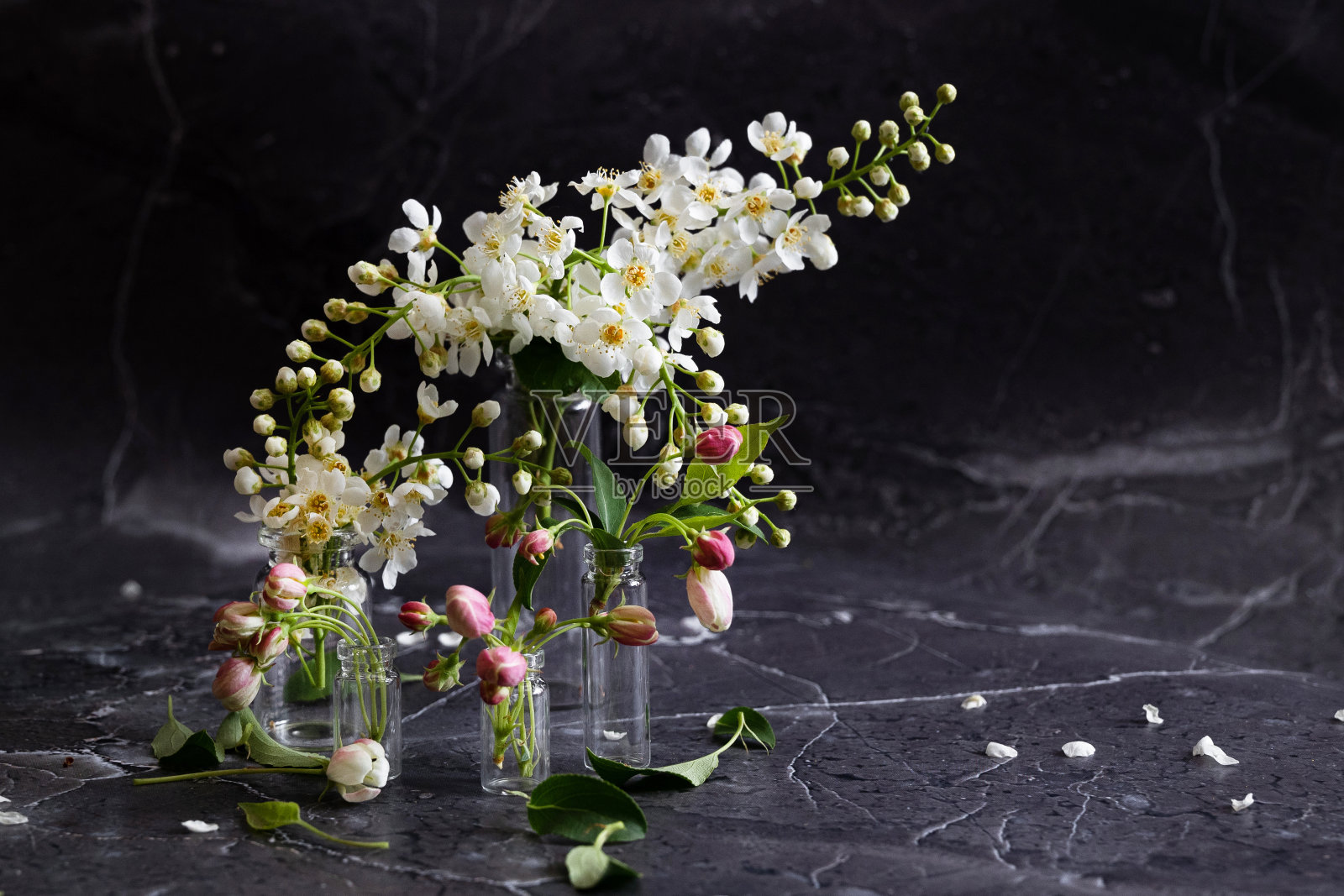 礼品卡与花在一个黑暗的背景照片摄影图片