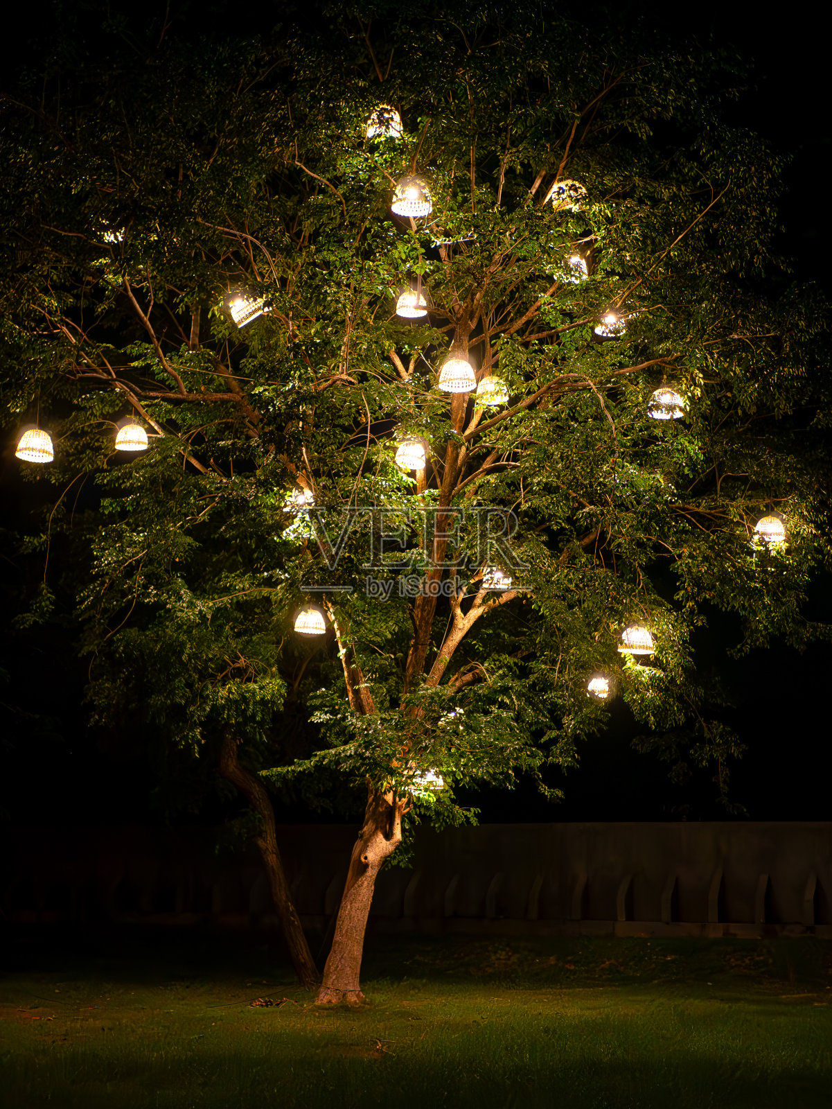 泰国神奇的树灯照片摄影图片