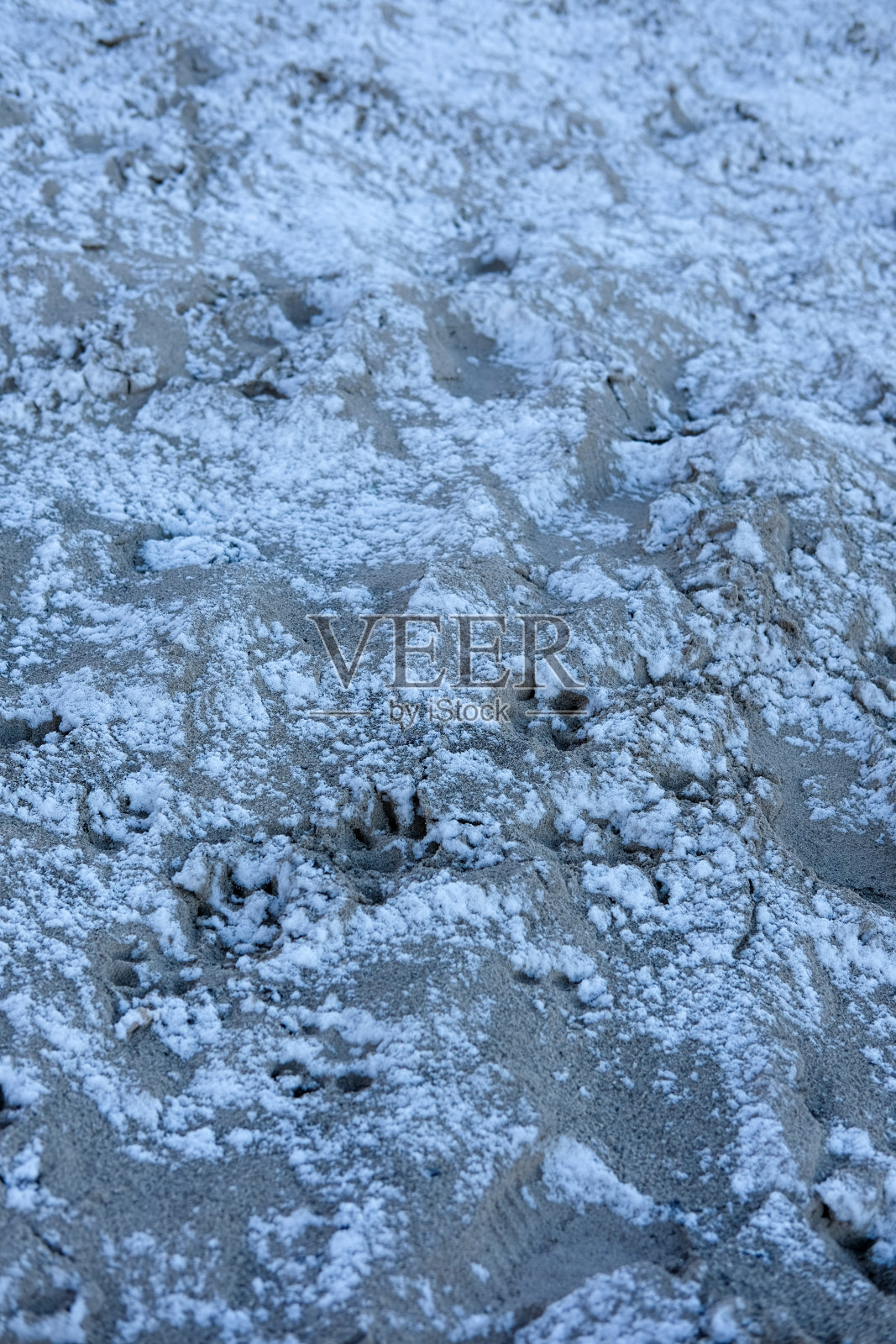 冬季寒流期间，雪沉淀在沙滩上照片摄影图片