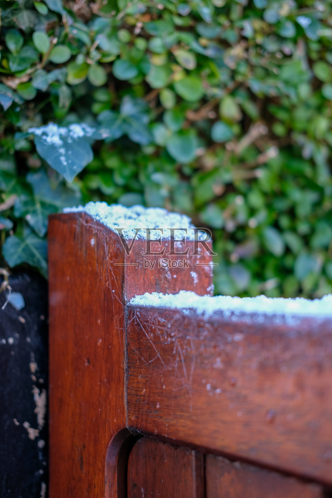 冬季寒流期间的积雪照片摄影图片