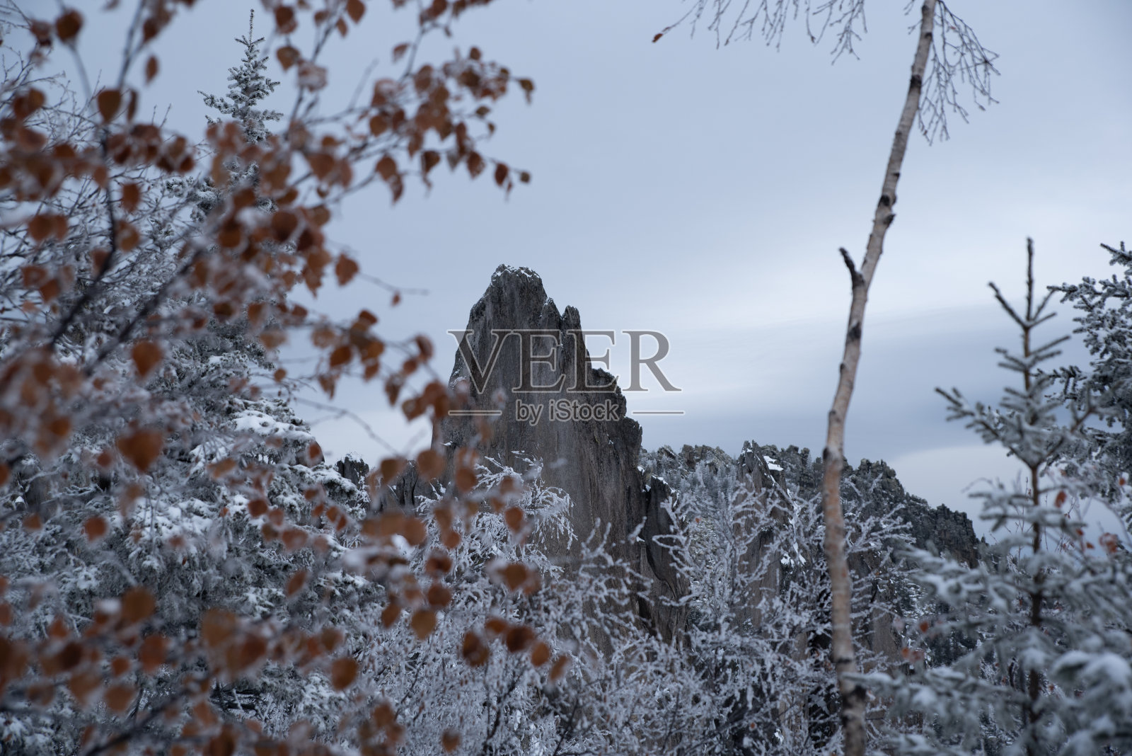 雄伟的雪山被树木环绕照片摄影图片