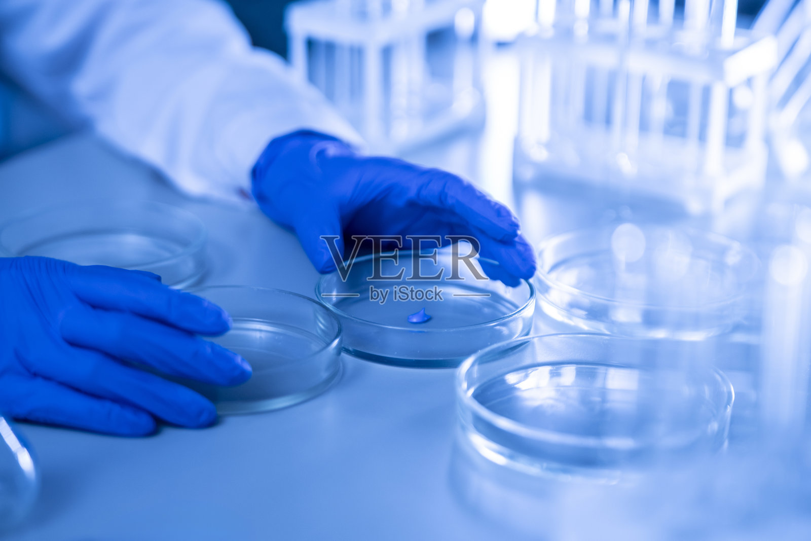 穿白色制服的人拿着装有生物样本的培养皿照片摄影图片