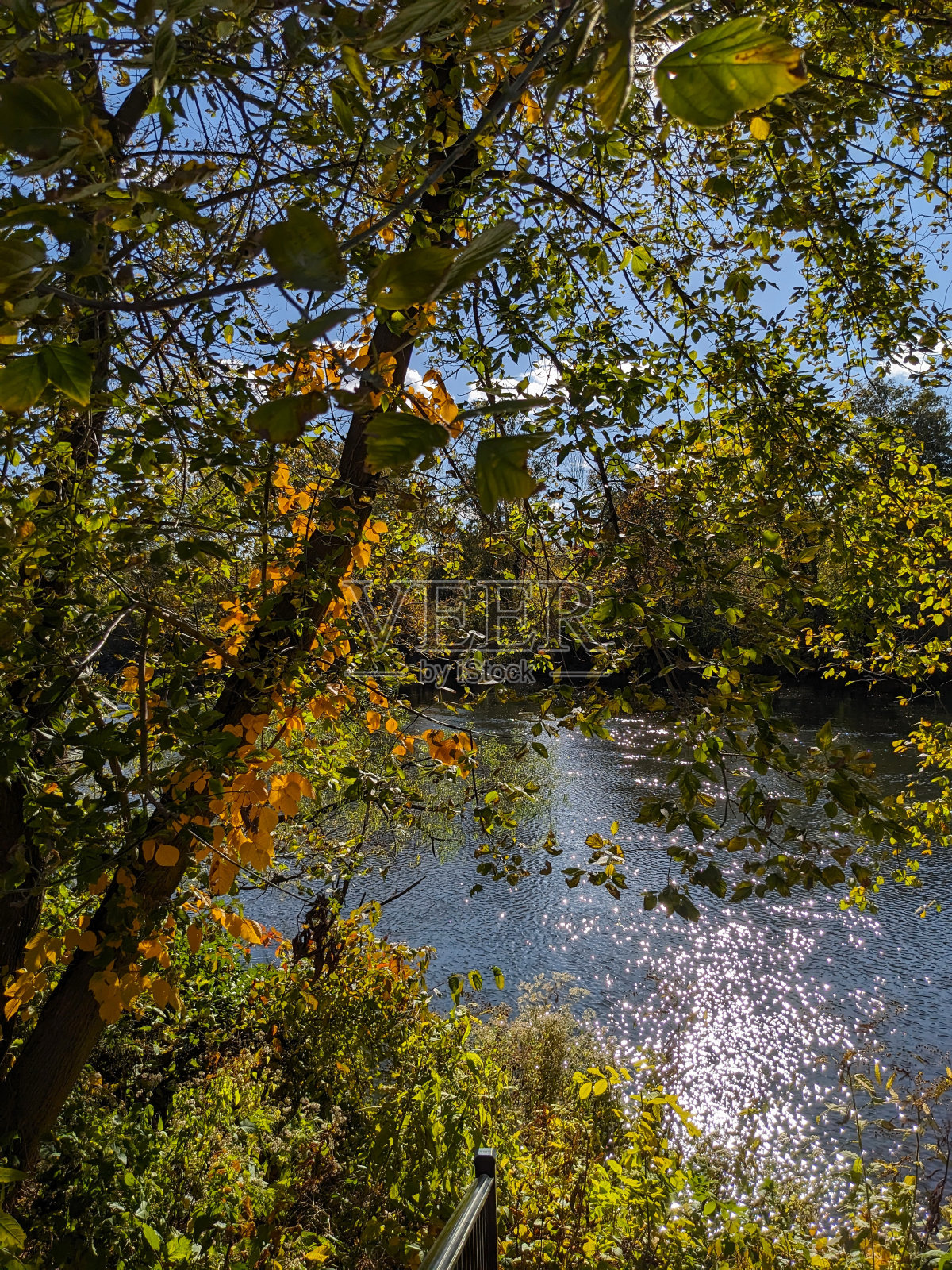 宾夕法尼亚州斯库尔基尔河沿岸的秋景。照片摄影图片