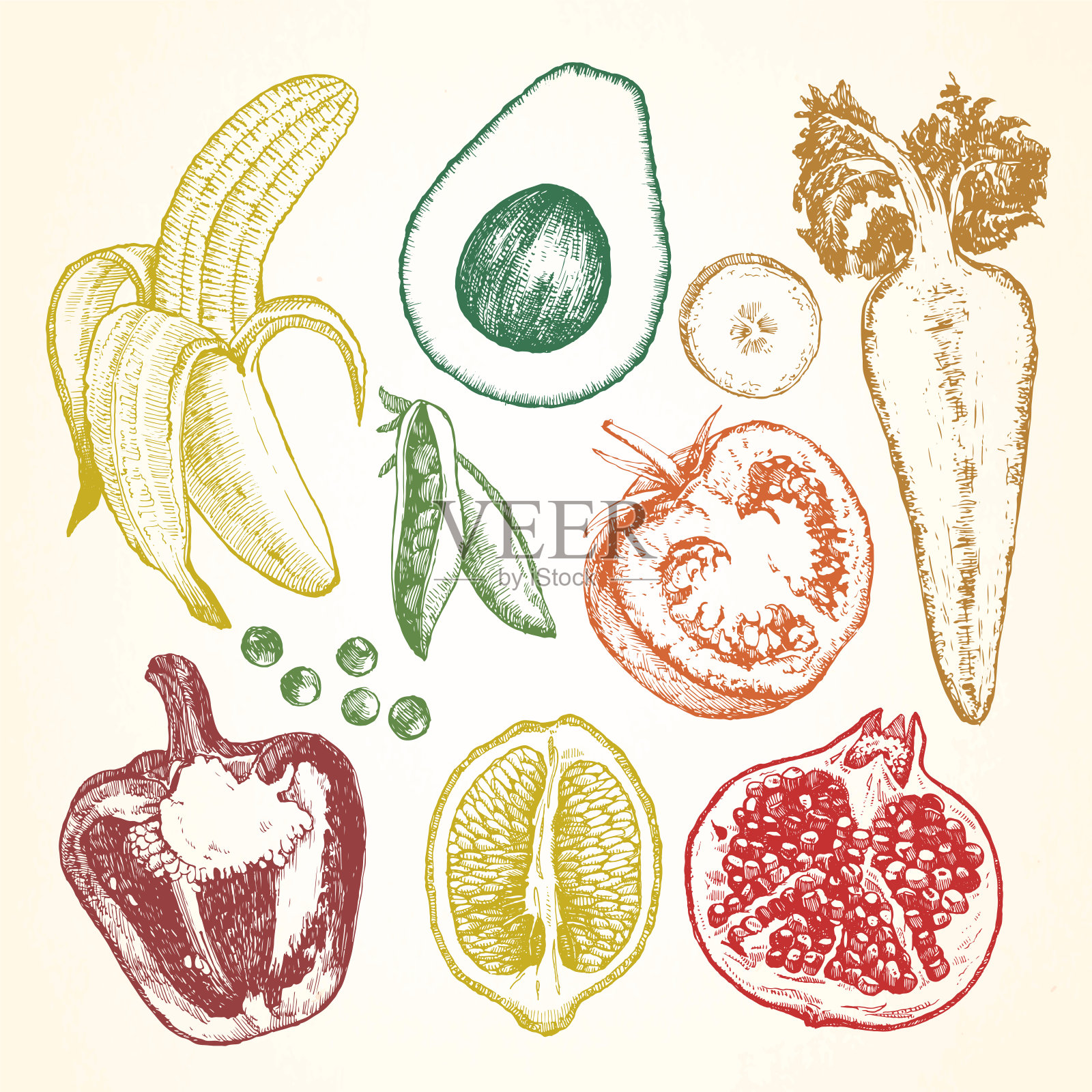 手绘插图的蔬菜和水果，矢量插画图片素材
