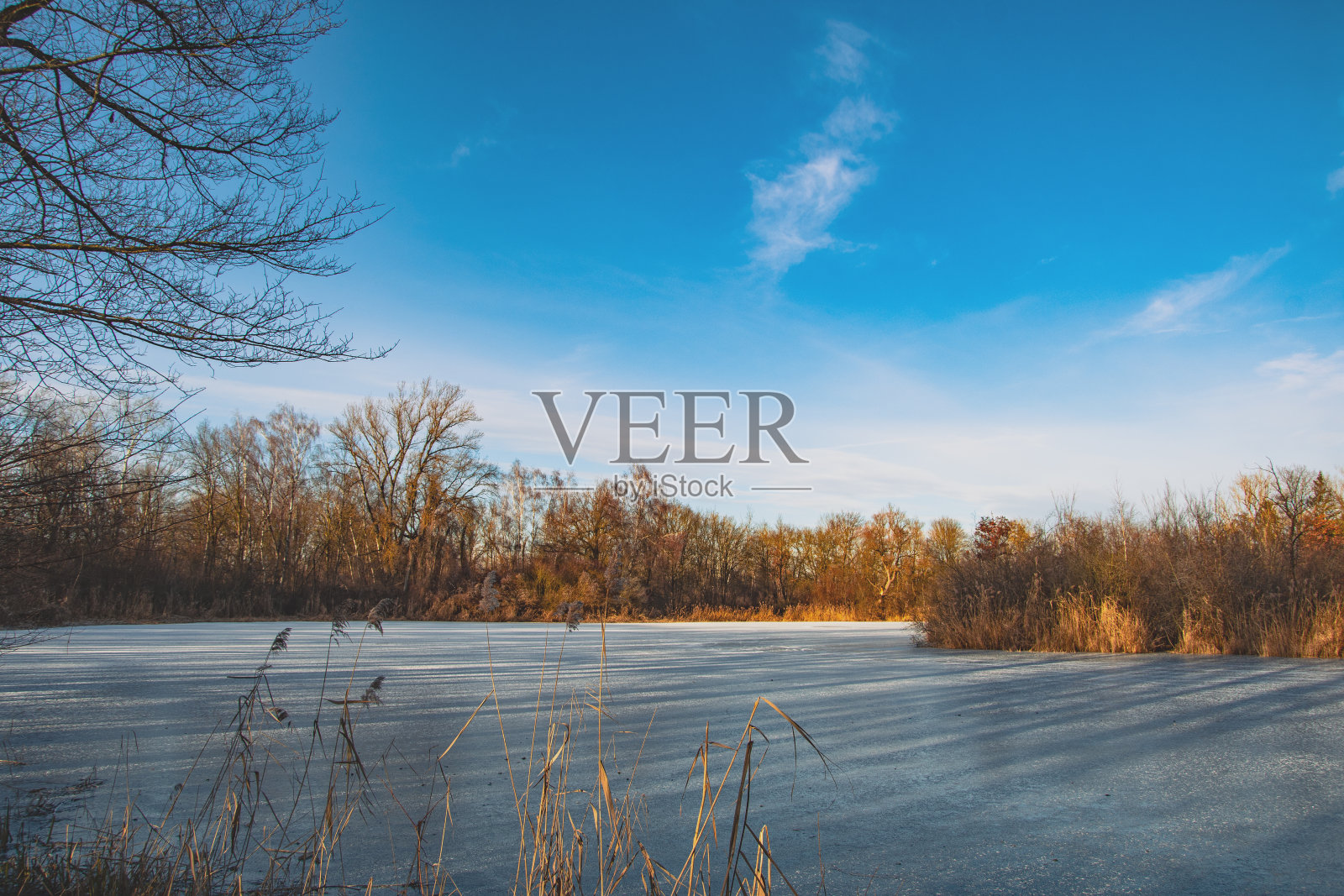 德国因戈尔施特的一个湖上美丽的冬季景色，冰冻的湖，冬天湖上的鸭子和天鹅照片摄影图片