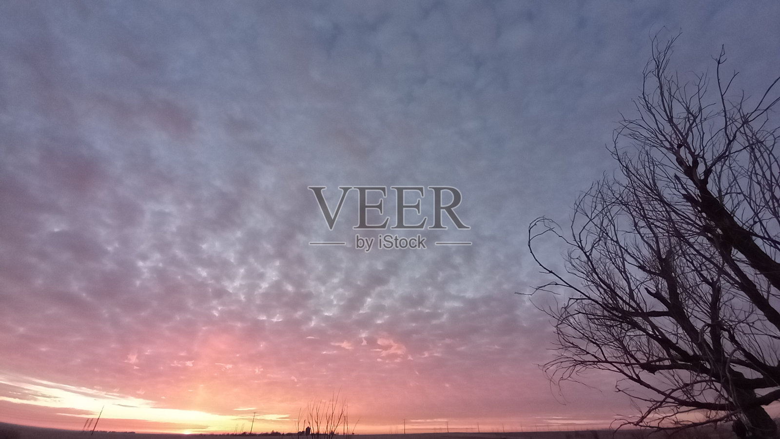 科罗拉多日出2024年1月24日照片摄影图片