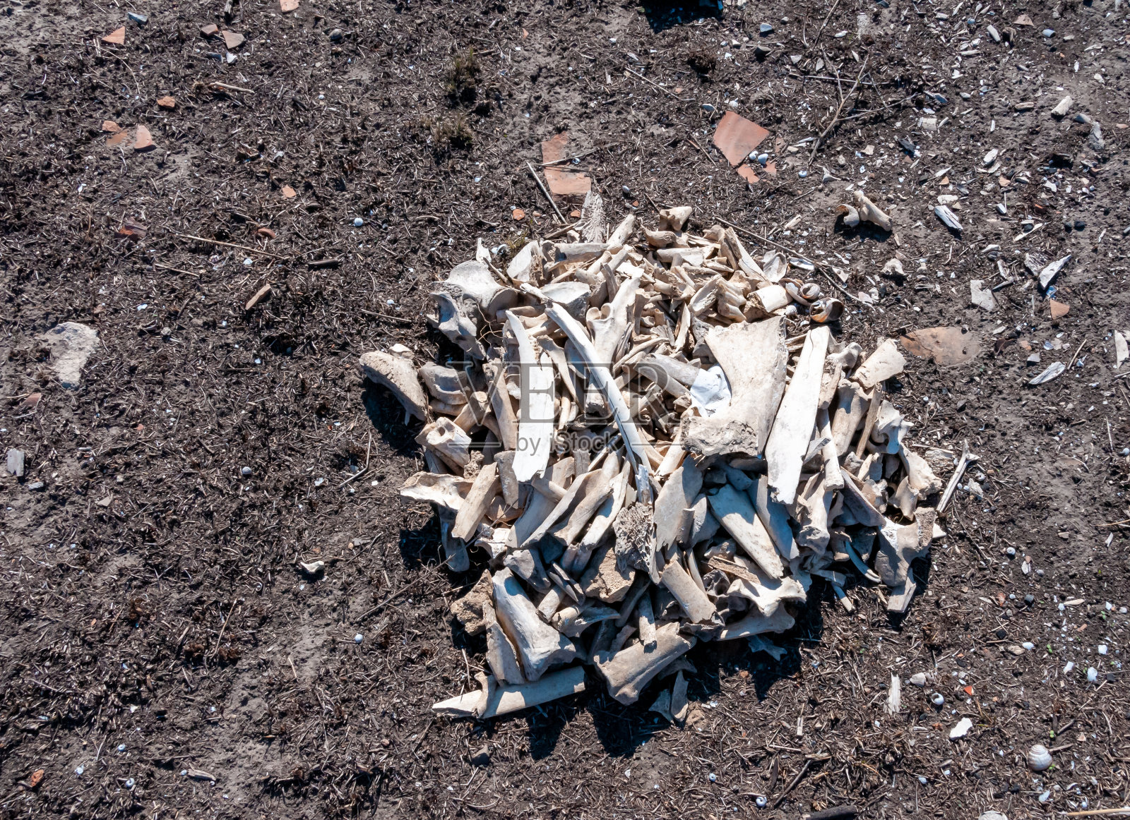 希腊古城奥尔比亚的考古遗址，乌克兰照片摄影图片