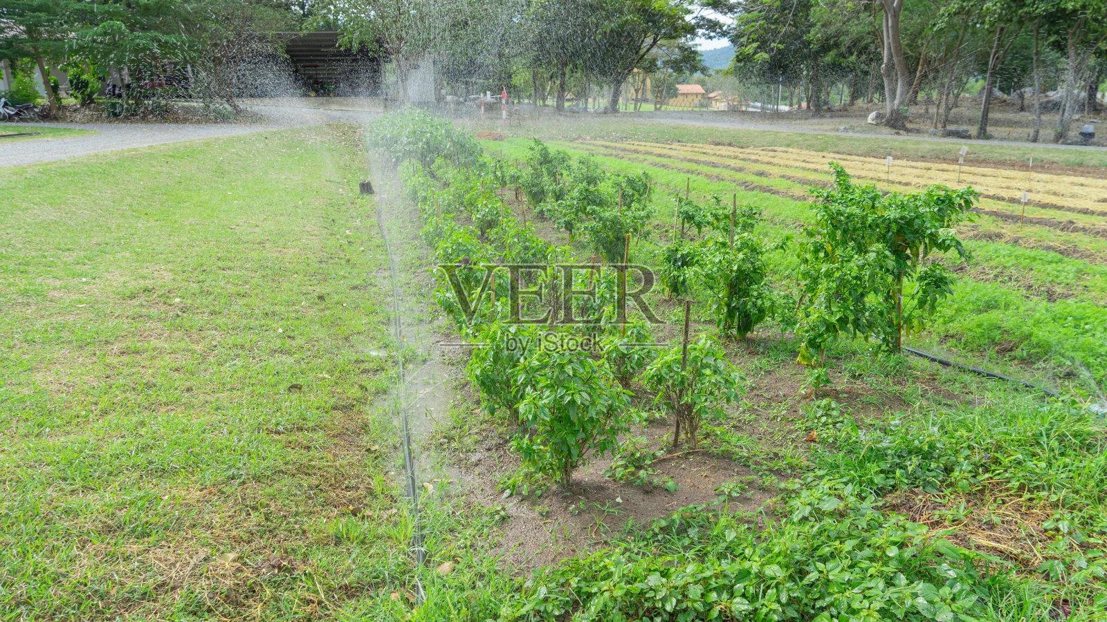 632照片摄影图片