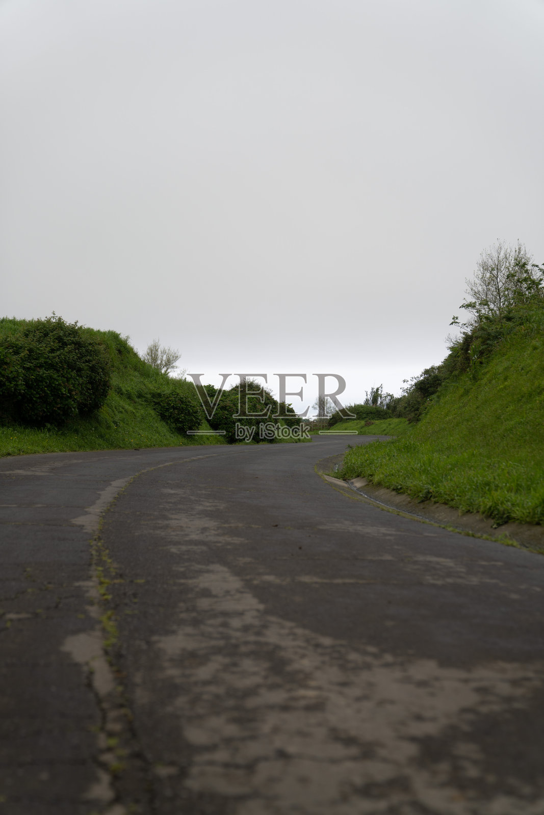 在多云的日子里，一条两旁长满绿色植物的弯曲道路的垂直方向照片摄影图片