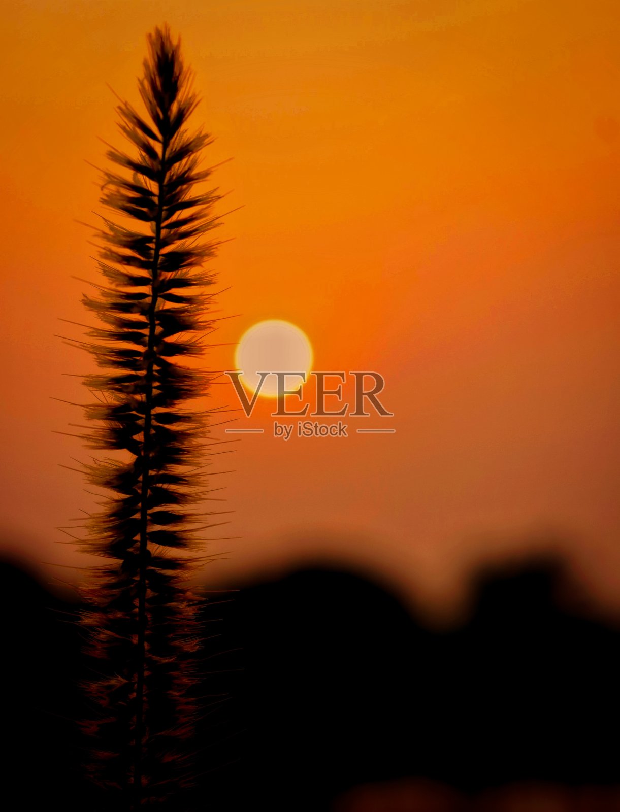 风景优美照片摄影图片