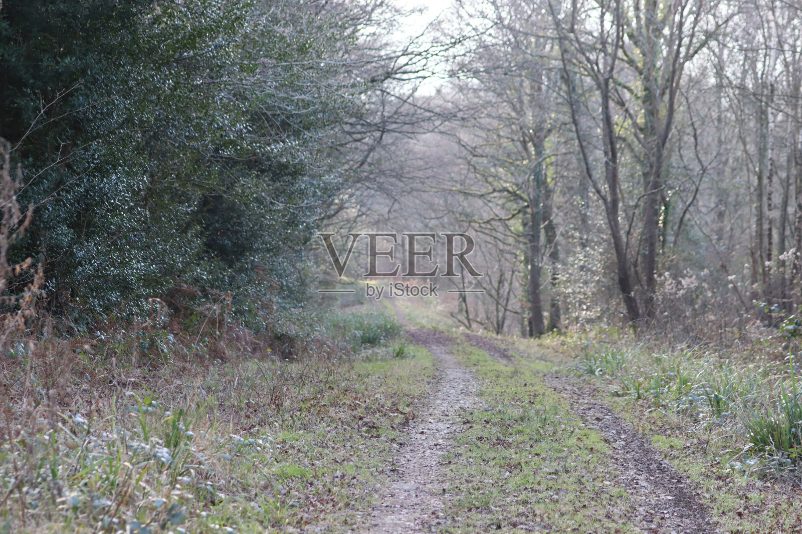 冬天走了照片摄影图片