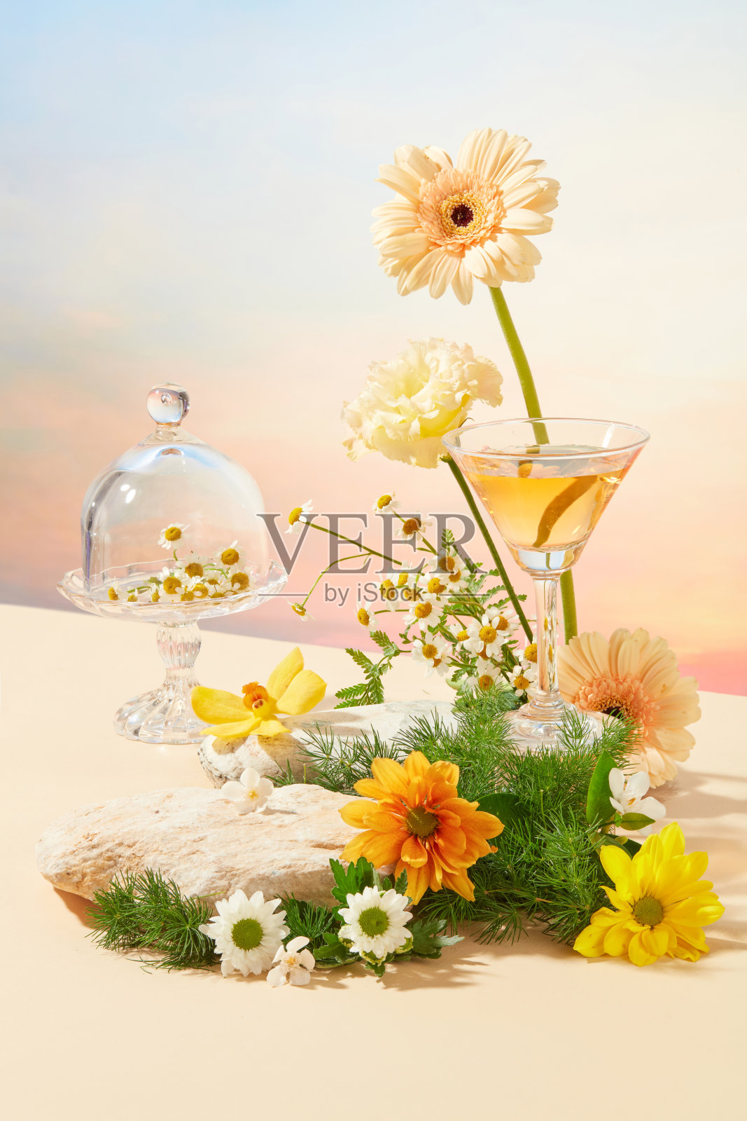 雏菊被陈列在一个玻璃底座上，上面有一个玻璃圆顶罩。鸡尾酒杯周围装饰着鲜花和绿草。夏日清凉，欣赏日落美景。照片摄影图片