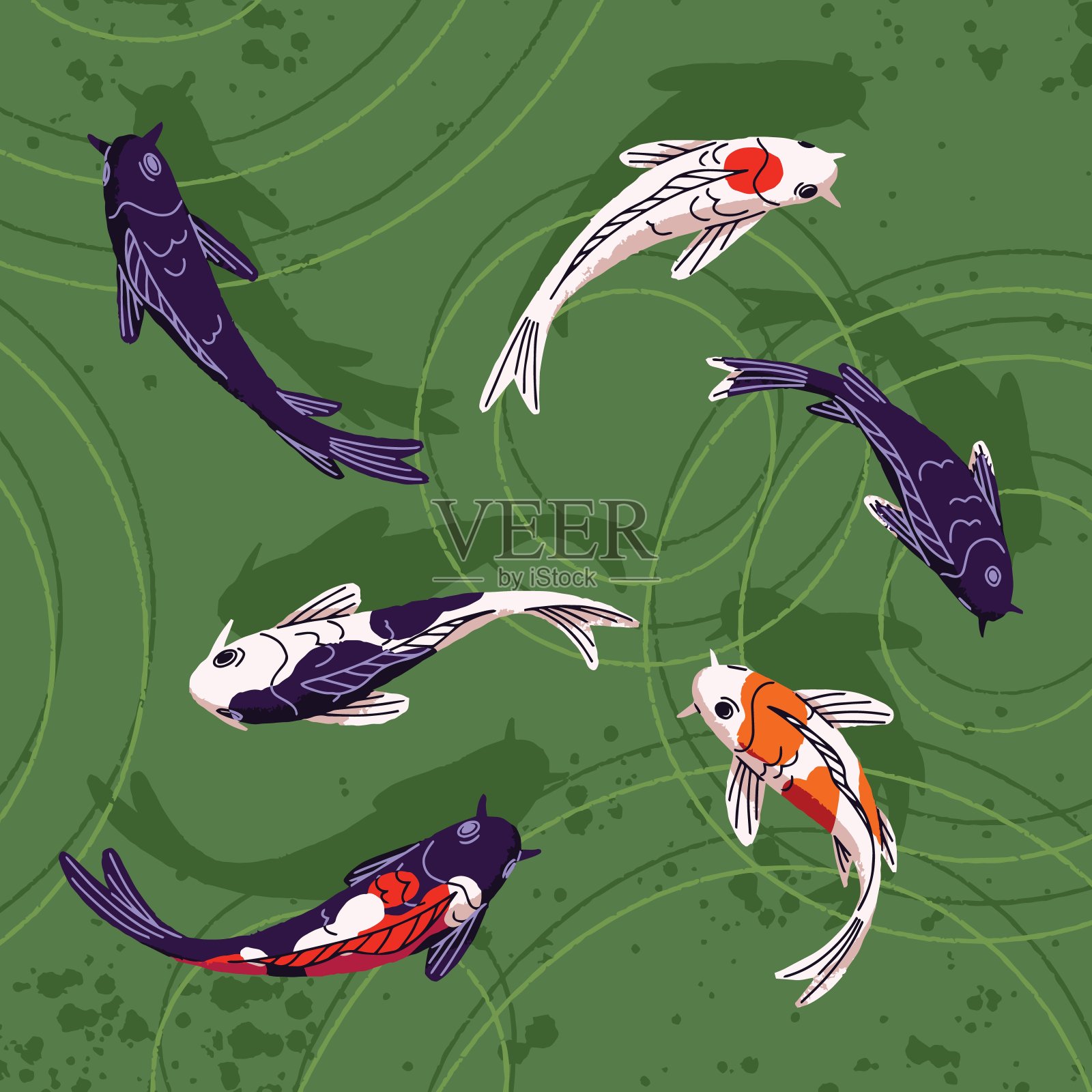 观赏锦鲤漂浮在池塘的顶部视图。一群锦井鱼在湖中游泳，鲤鱼在水中游动。亚洲自然，东方动物，鱼与彩色鳞片。平面矢量图插画图片素材