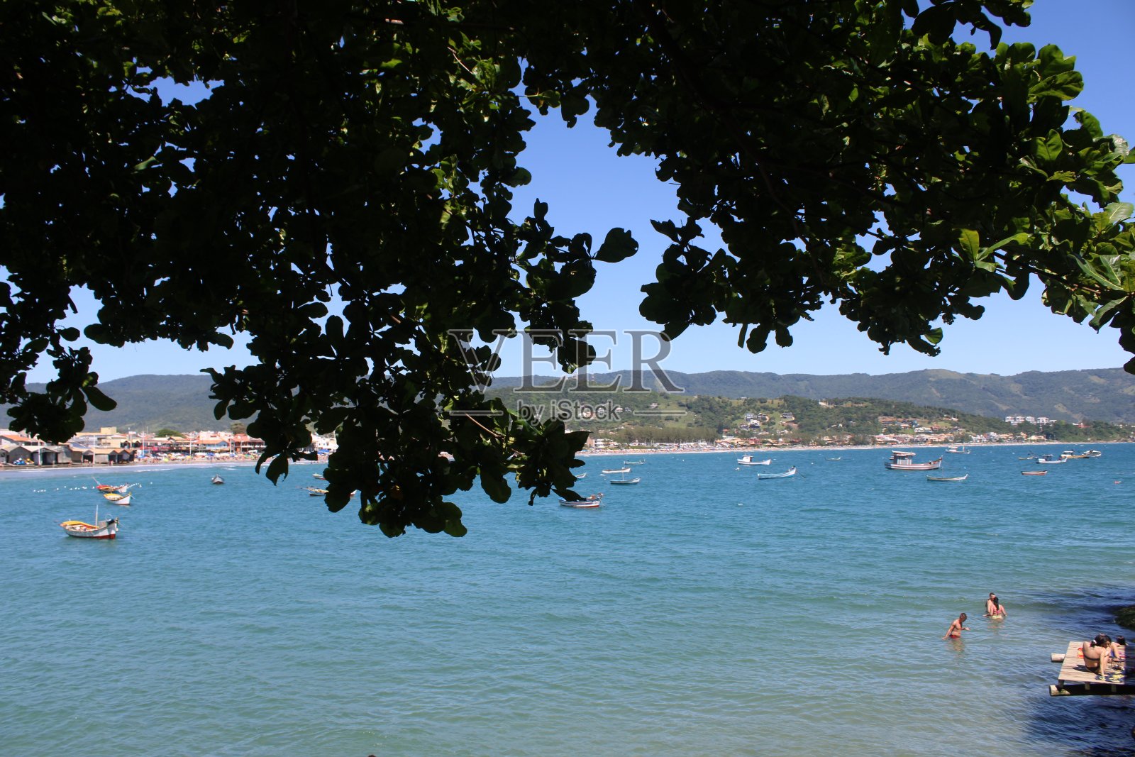 巴西海滩照片摄影图片