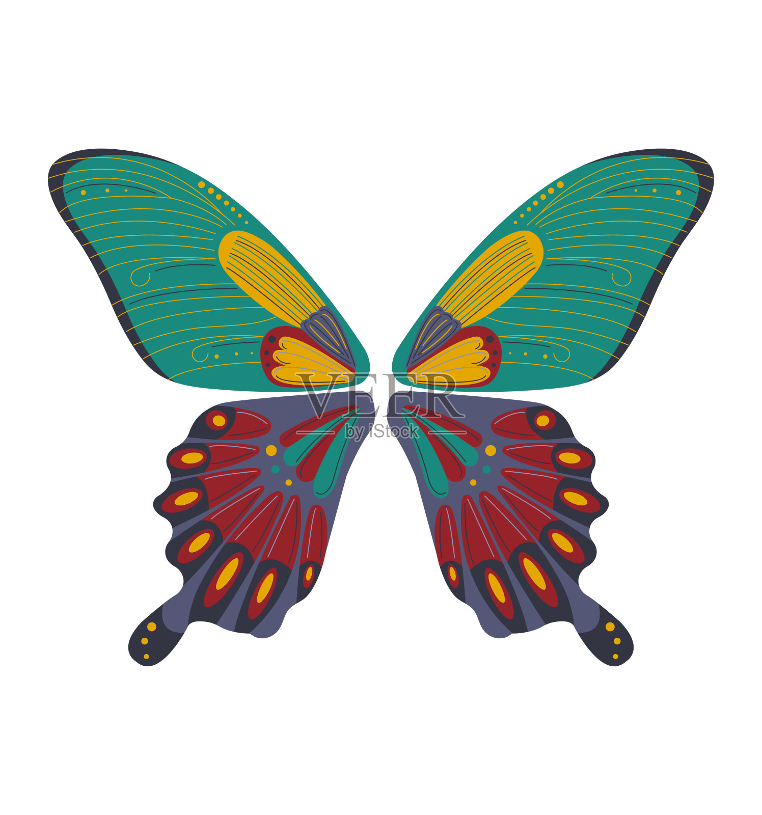 彩色蝴蝶与详细的翅膀，充满活力的图案。自然，美丽，春天的概念矢量插图插画图片素材