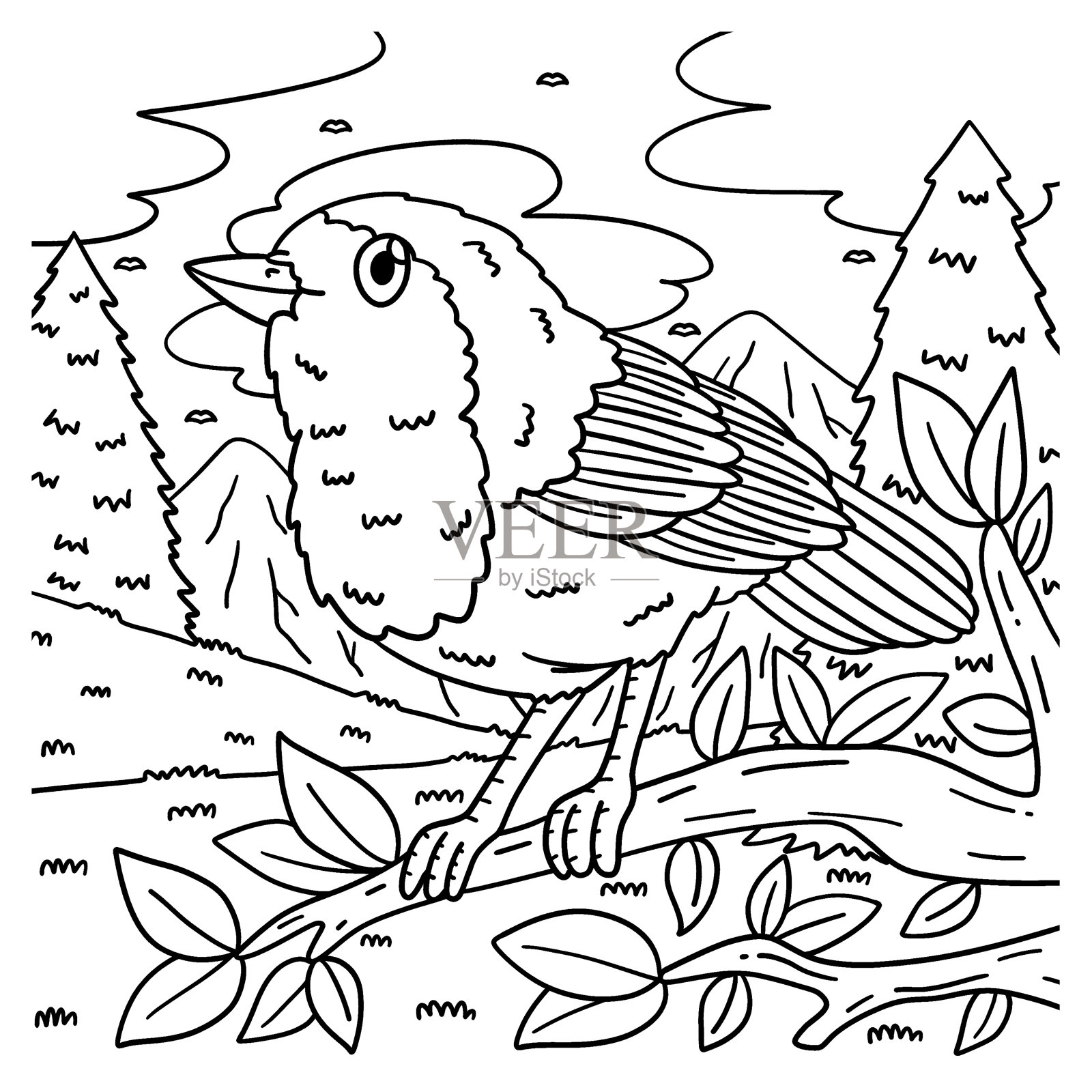 欧洲知更鸟儿童着色页插画图片素材