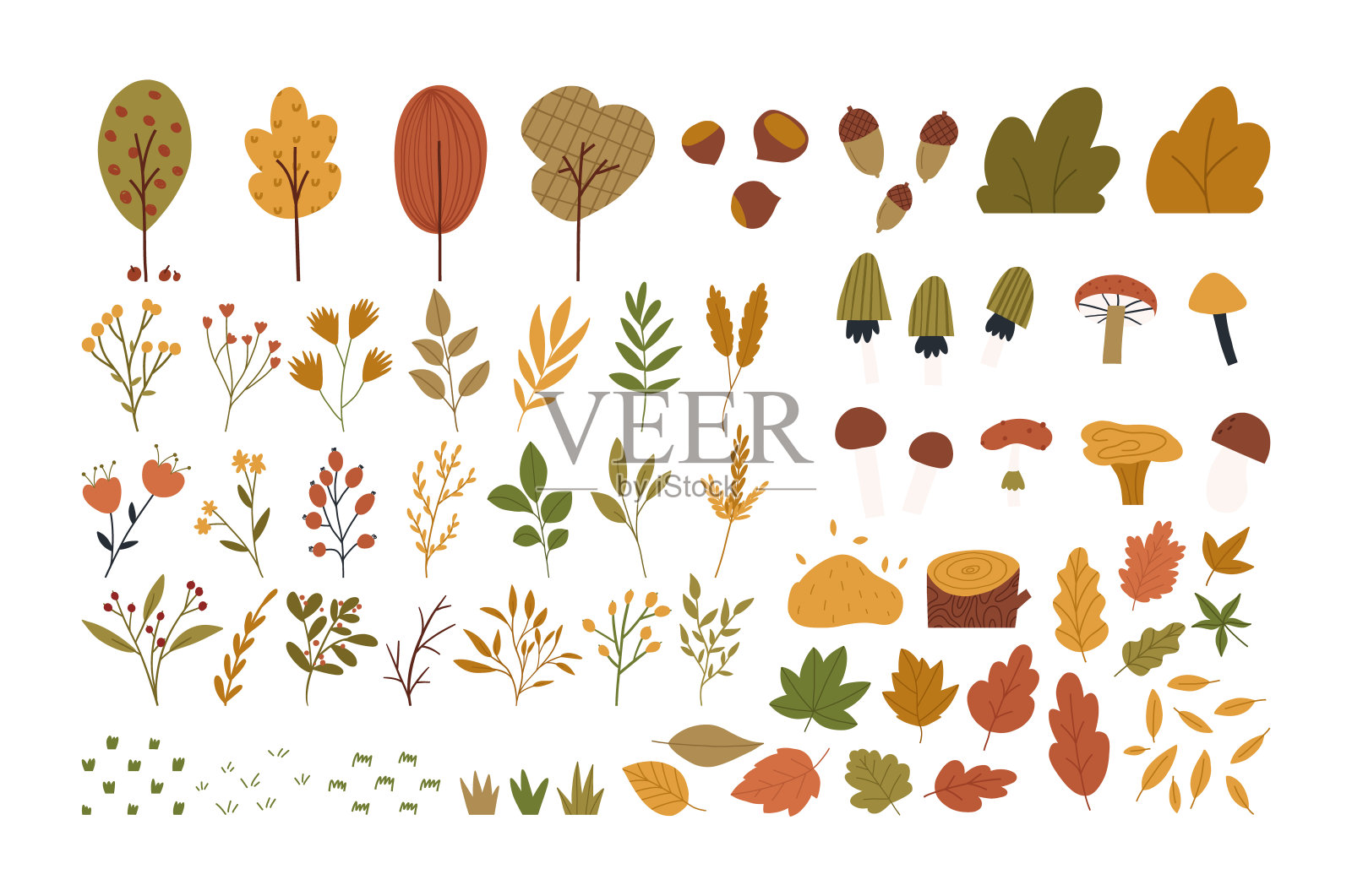 集秋季植物元素在可爱的手绘平面风格，孤立的白色背景。插画图片素材