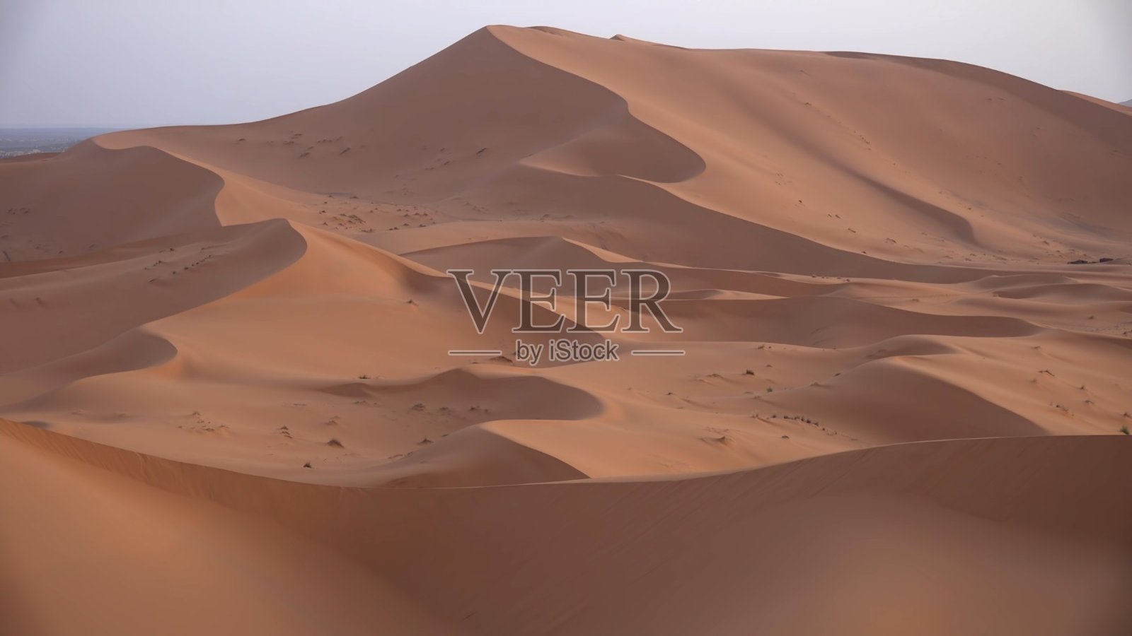 一望无际的撒哈拉沙漠，炙热的阳光照在沙丘上。照片摄影图片