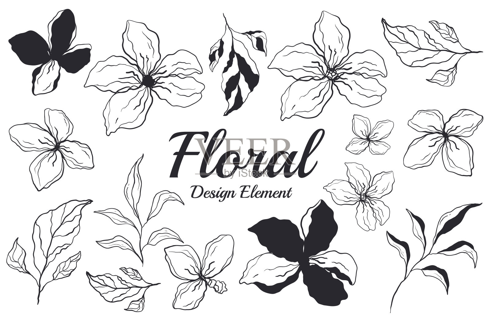 叶花花卉框架装饰孤立集。矢量图形设计插图插画图片素材