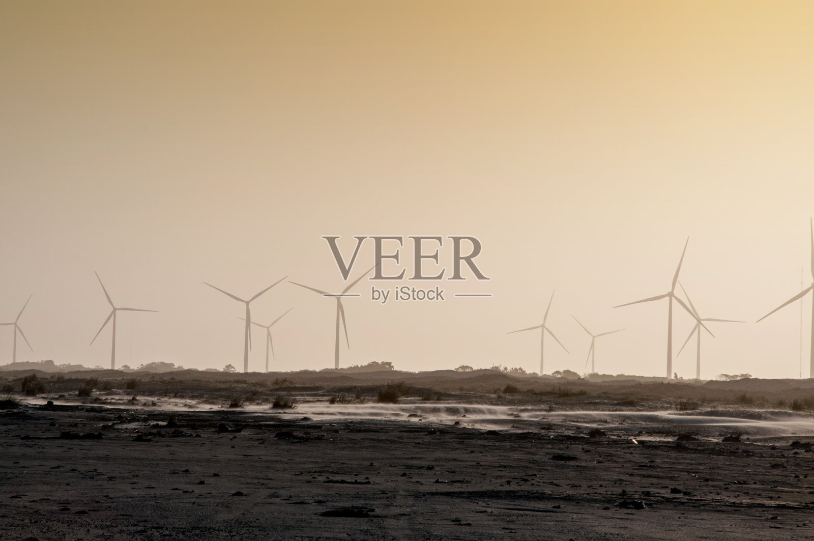 海边的风力涡轮机照片摄影图片