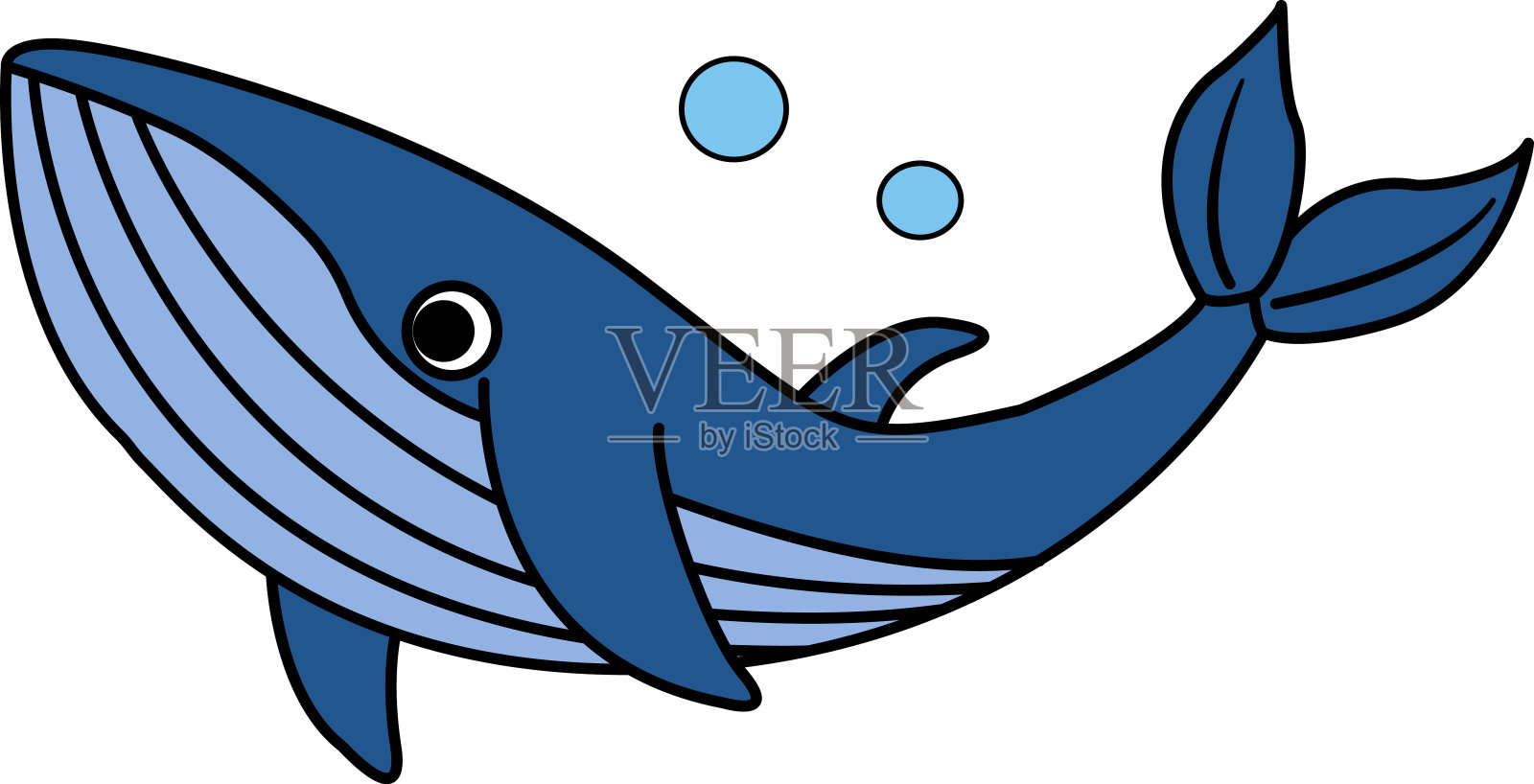 海鲸。海洋动物矢量插图隔离在白色背景插画图片素材