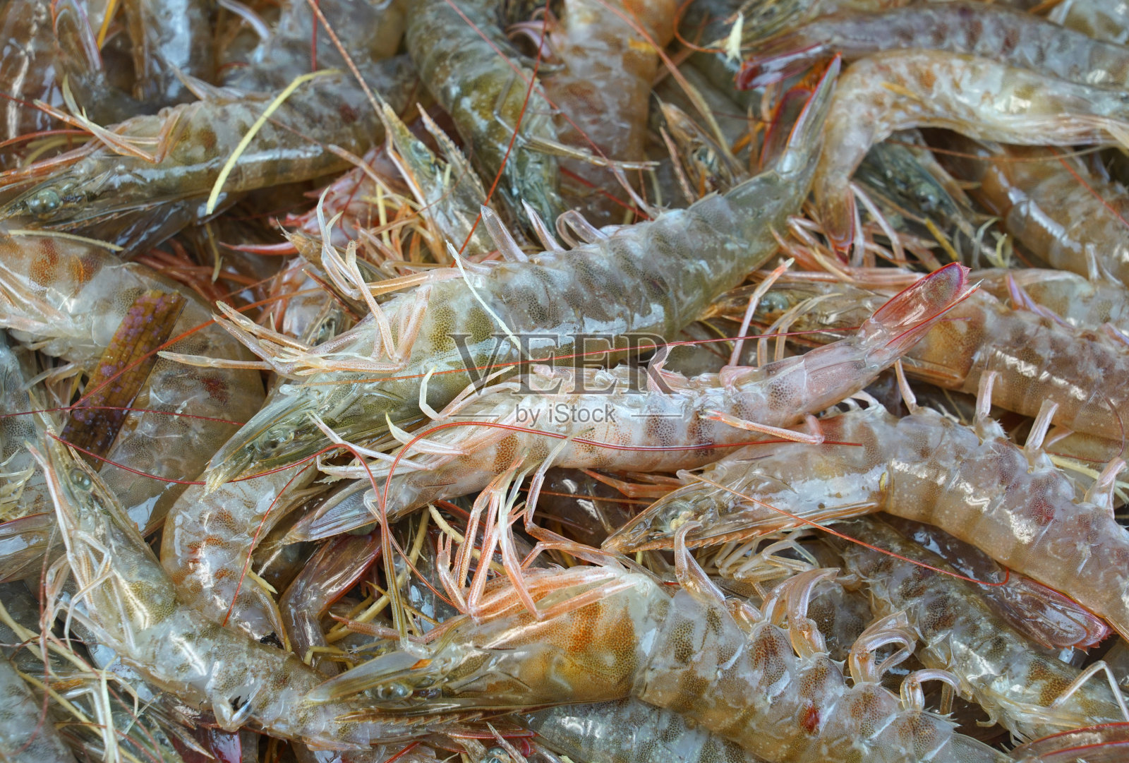 鲜虾作为海鲜背景照片摄影图片