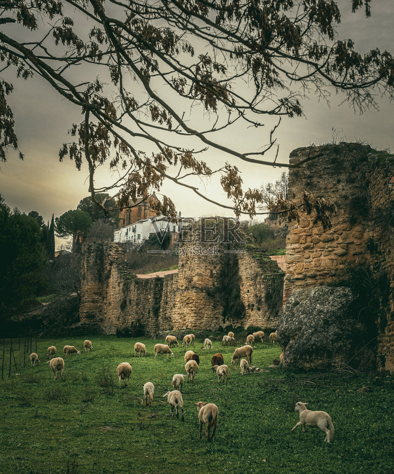 西班牙隆达的一群人照片摄影图片