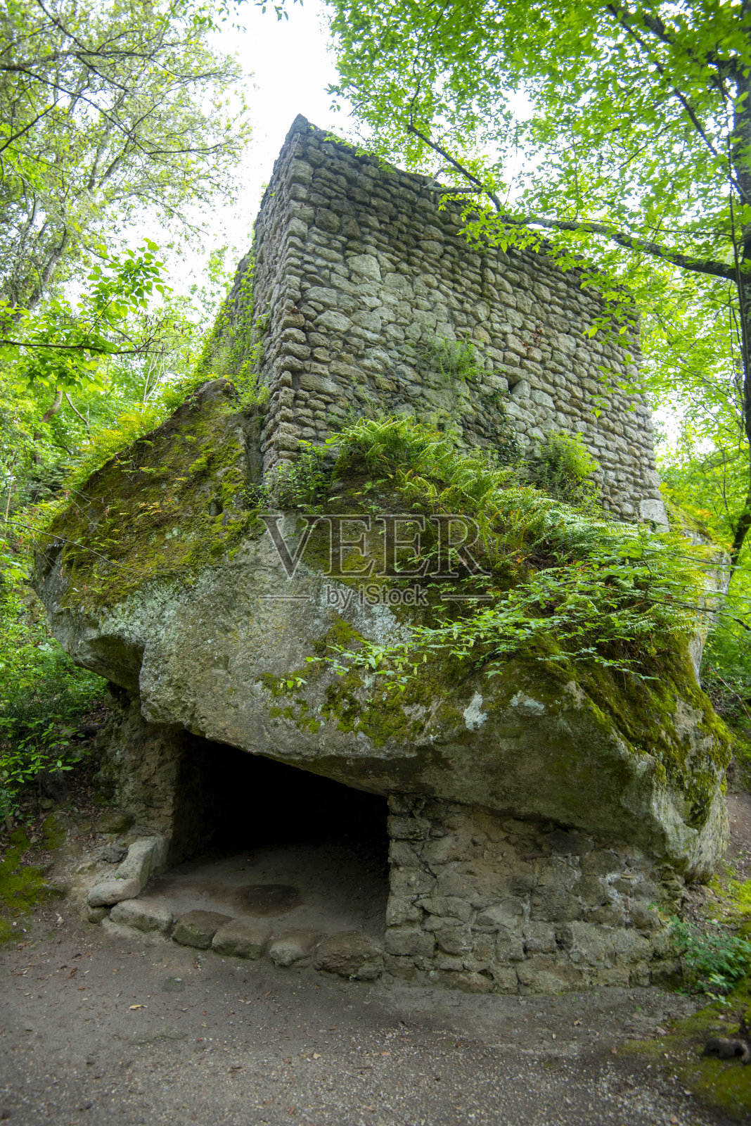 圣博斯克公园照片摄影图片