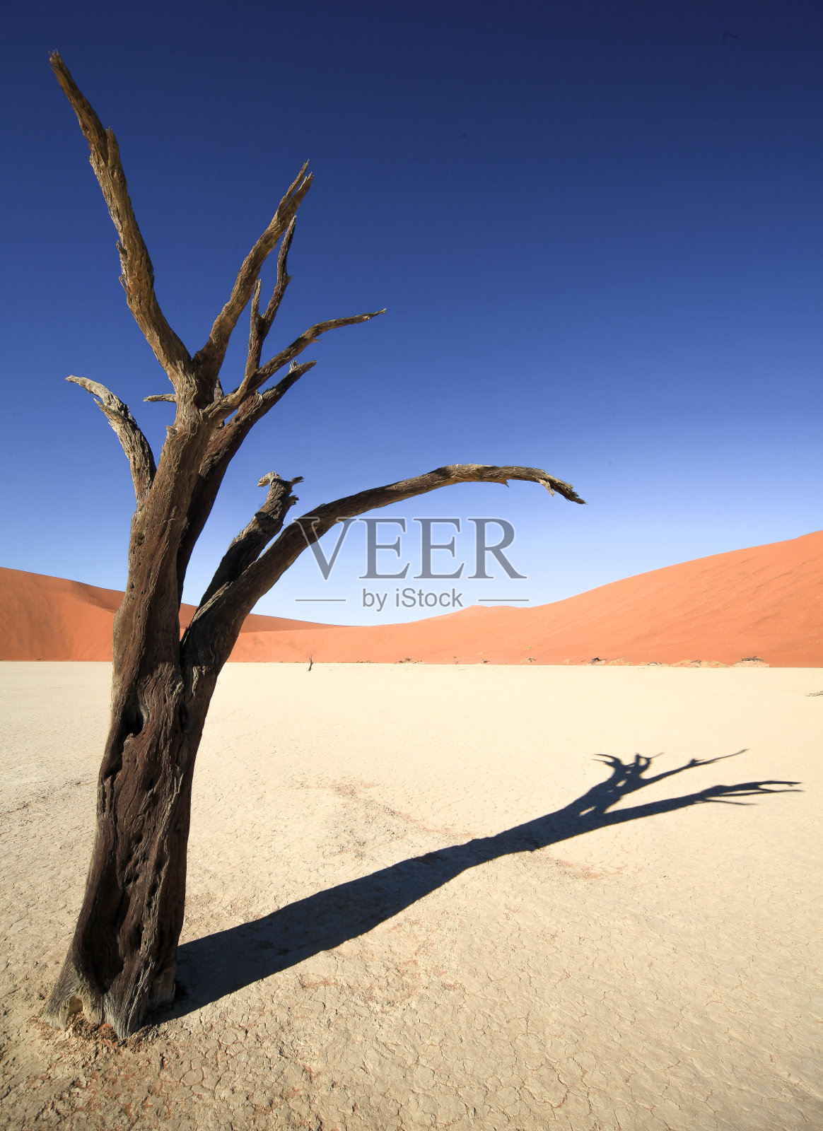 纳米比亚不同的风景照片摄影图片