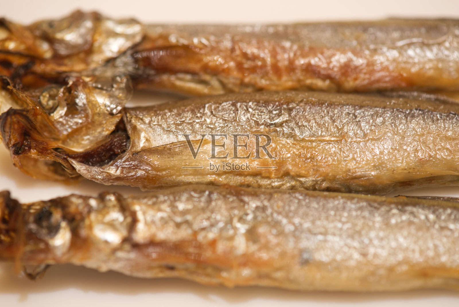 毛鳞鱼照片摄影图片