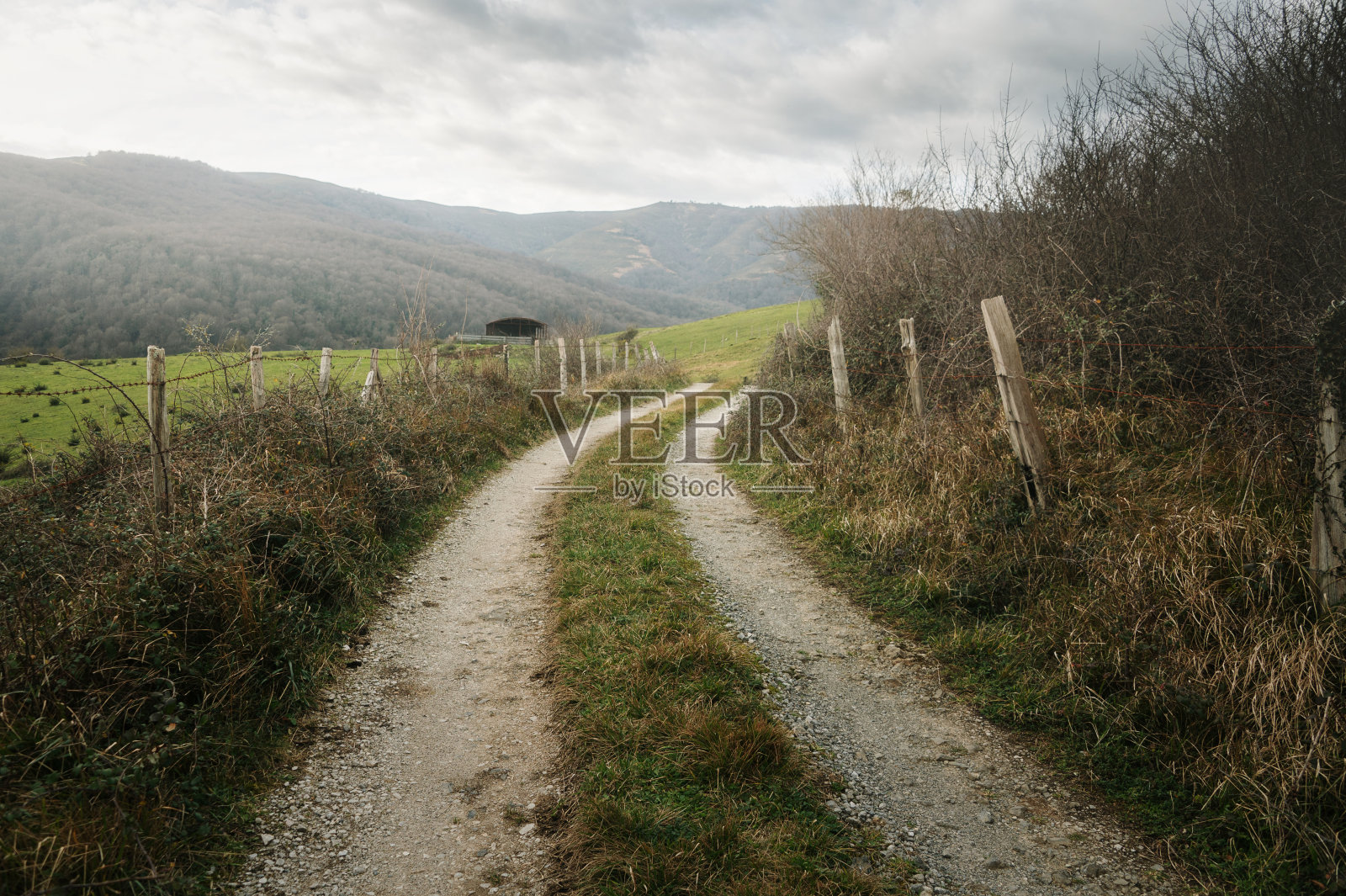 乡间小路照片摄影图片