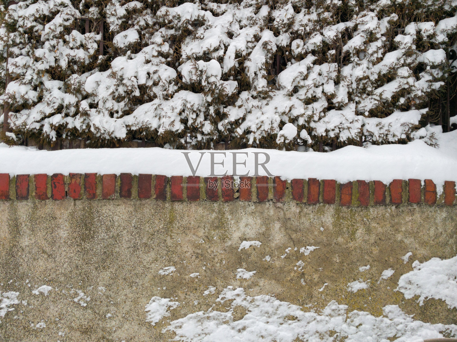 混凝土栅栏和树木。照片摄影图片