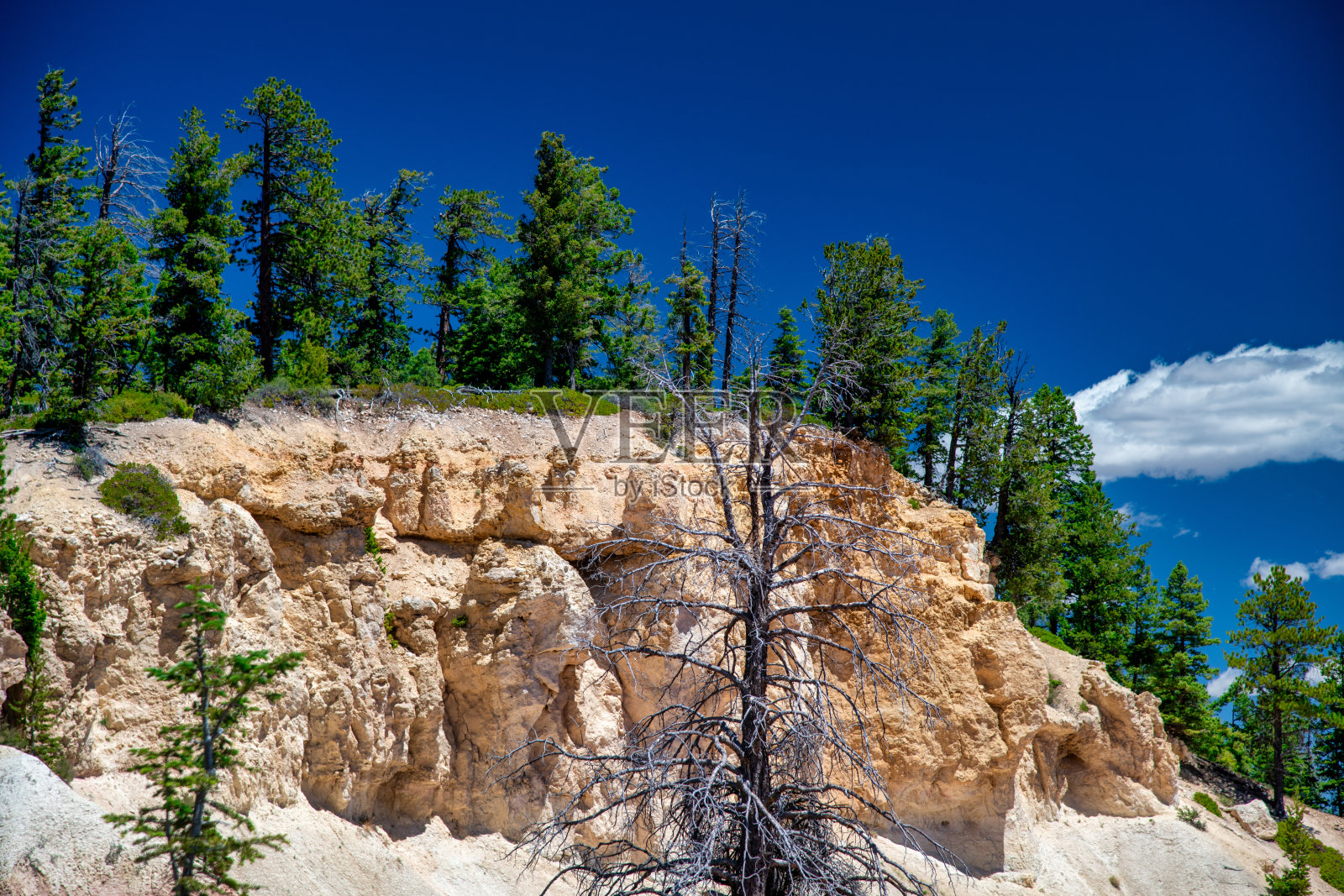 犹他州布莱斯峡谷国家公园令人惊叹的岩层照片摄影图片