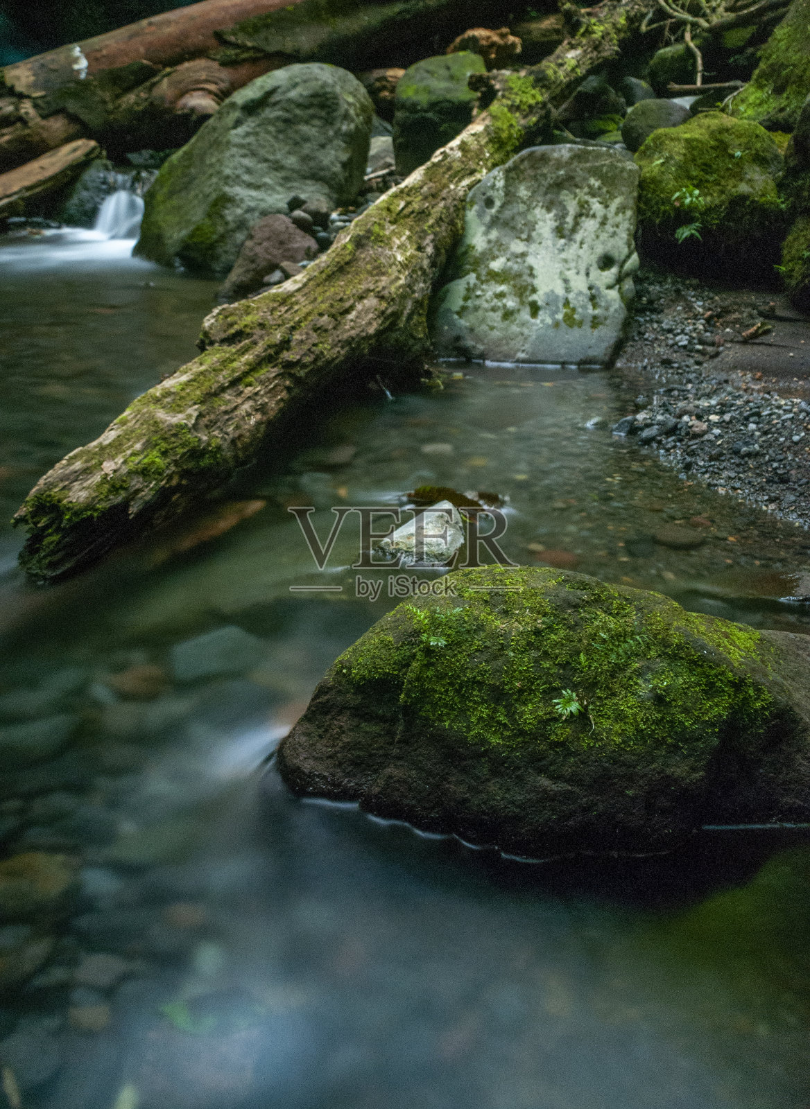 Proklamator瀑布照片摄影图片