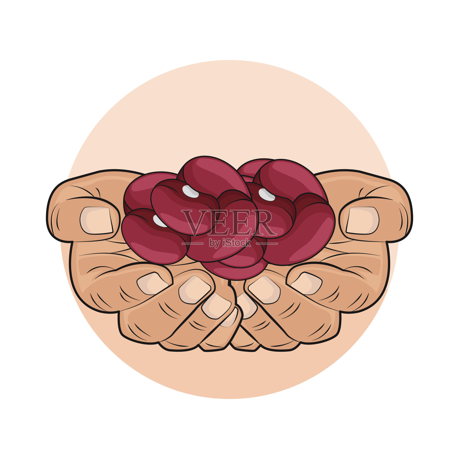 红豆插画图片素材