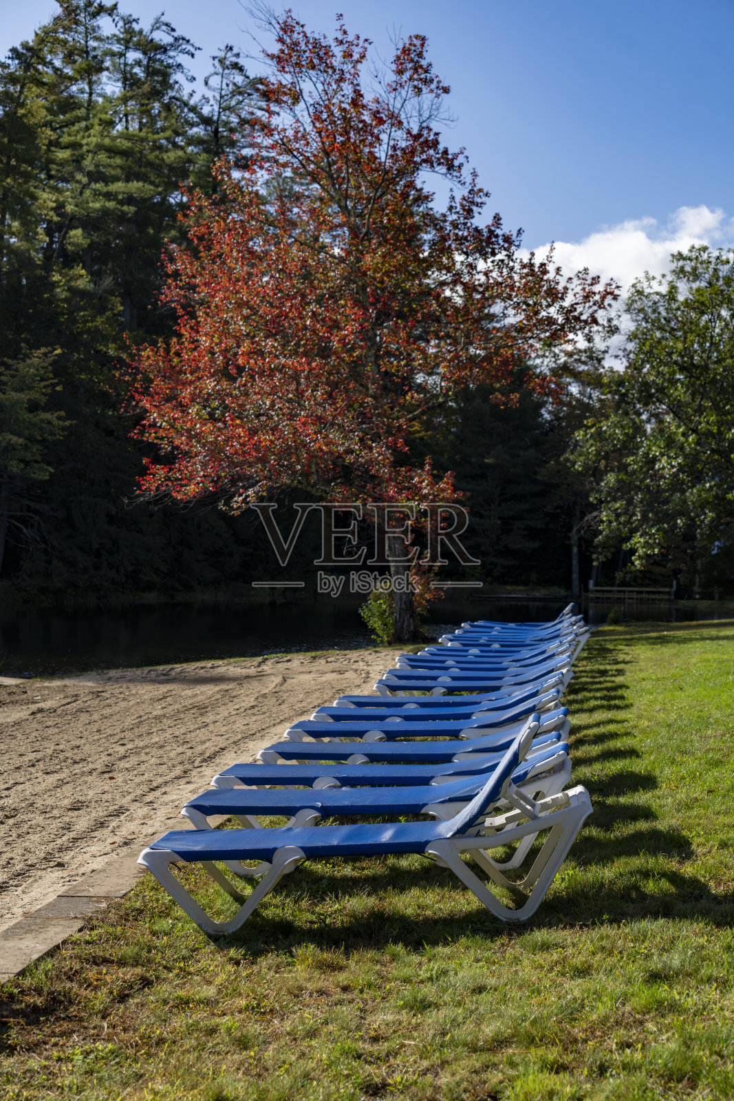 新罕布夏州东麦迪逊附近的一个湖边的日光浴床照片摄影图片