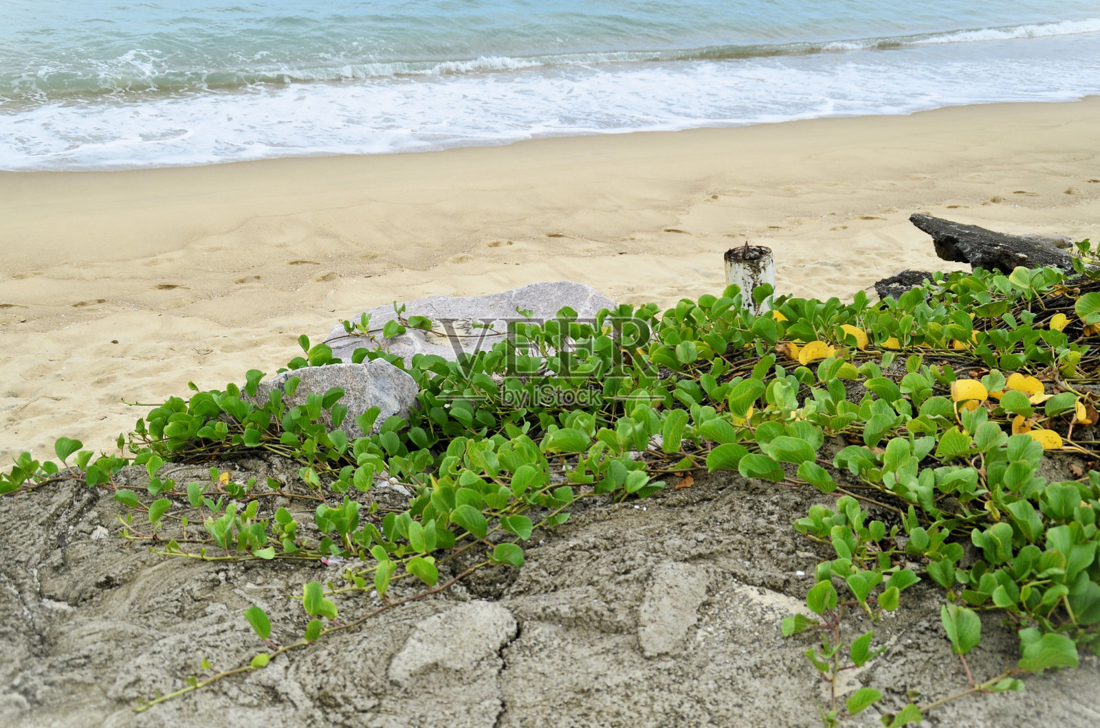 伊波莫亚佩斯卡普雷附近的沙滩照片摄影图片