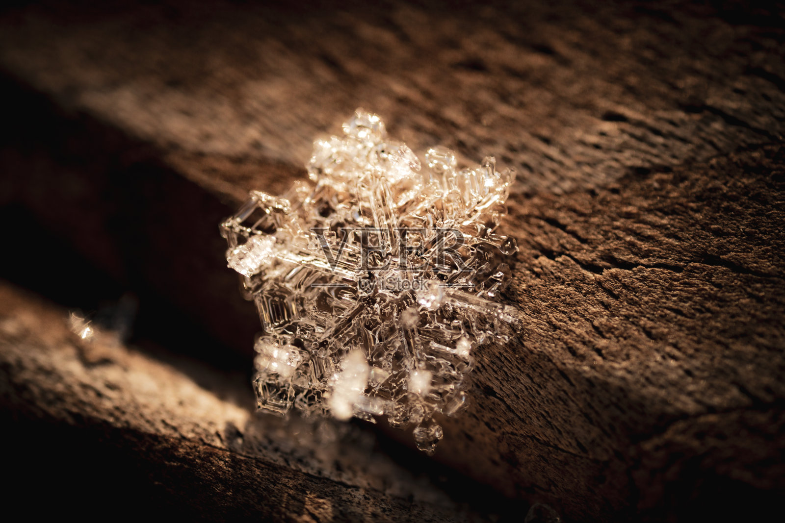 微距拍摄的美丽的雪花与复杂的图案照片摄影图片