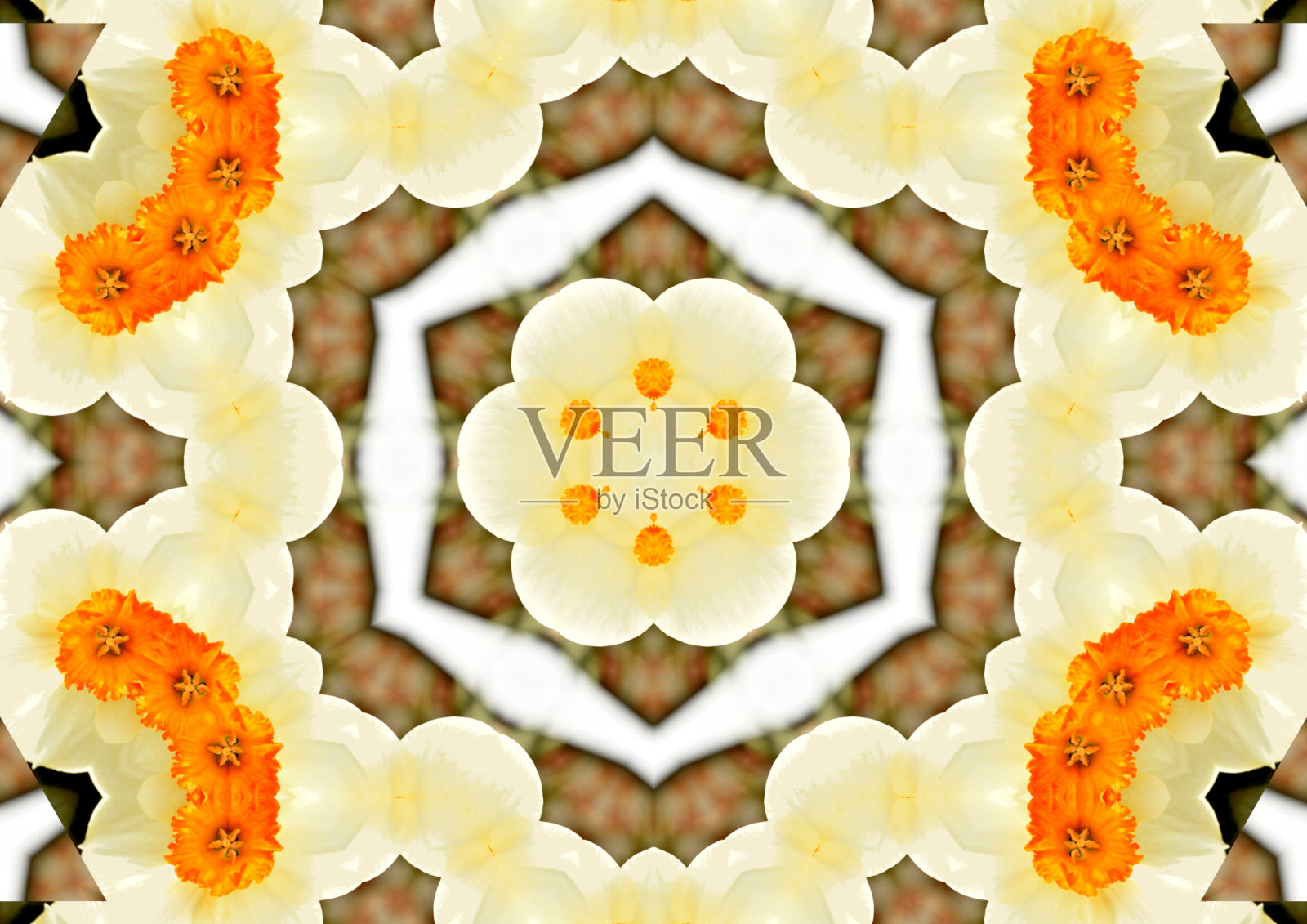 由几张照片组合而成的纹理图案。照片摄影图片