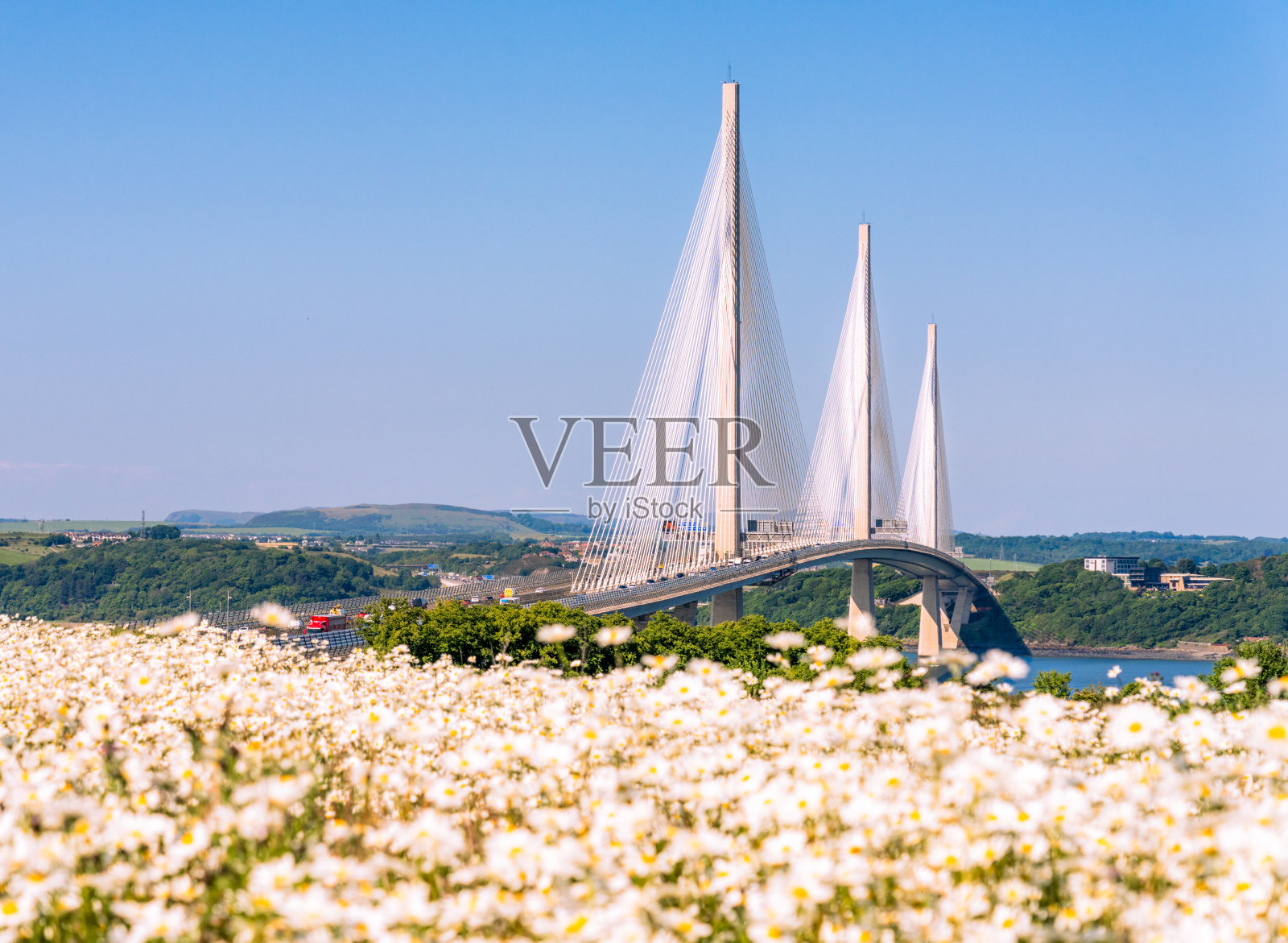 夏天的皇后渡口照片摄影图片