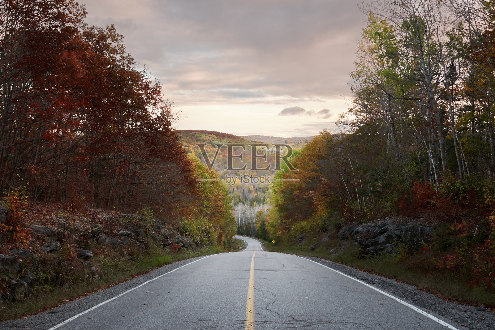 秋林里的路照片摄影图片