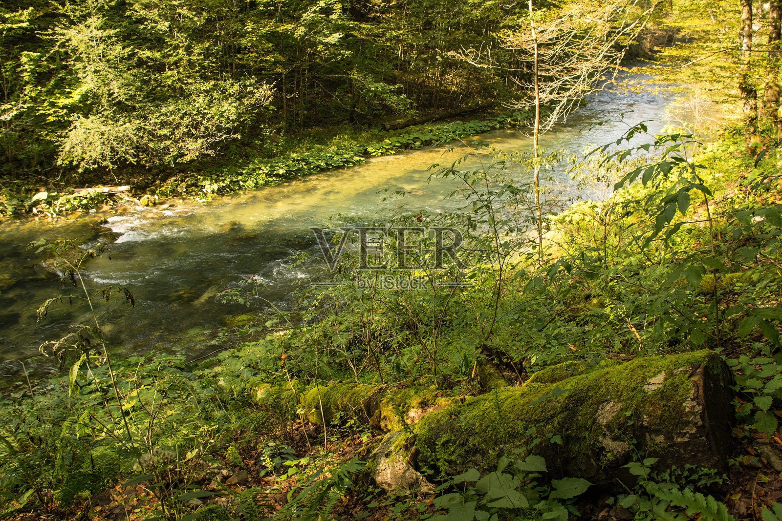 Kamacnik Kanjon在克罗地亚报道照片摄影图片