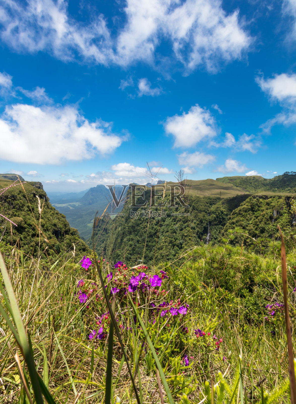 巴西圣卡塔琳娜州乌鲁比西埃斯普拉亚多峡谷景观。照片摄影图片