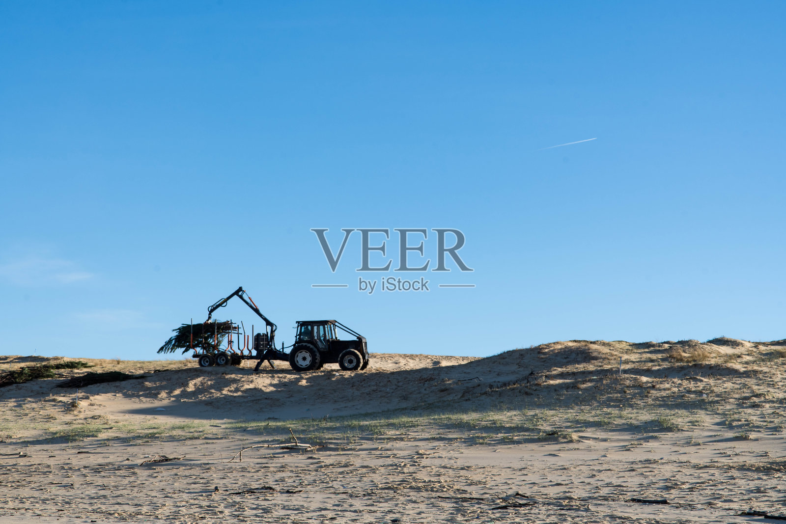 拖拉机正在堆放松树和圣诞树，以应对水位上升照片摄影图片