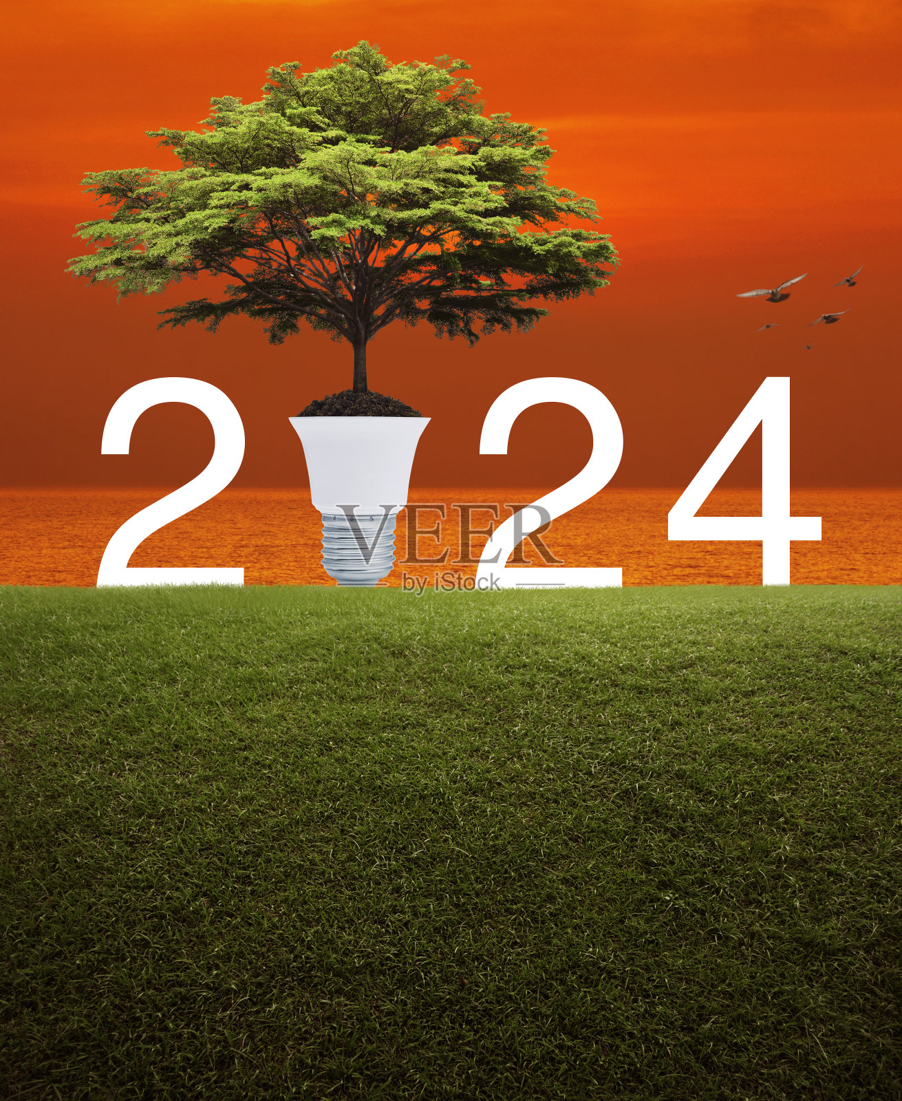 2024年生态盖概念新年快乐照片摄影图片