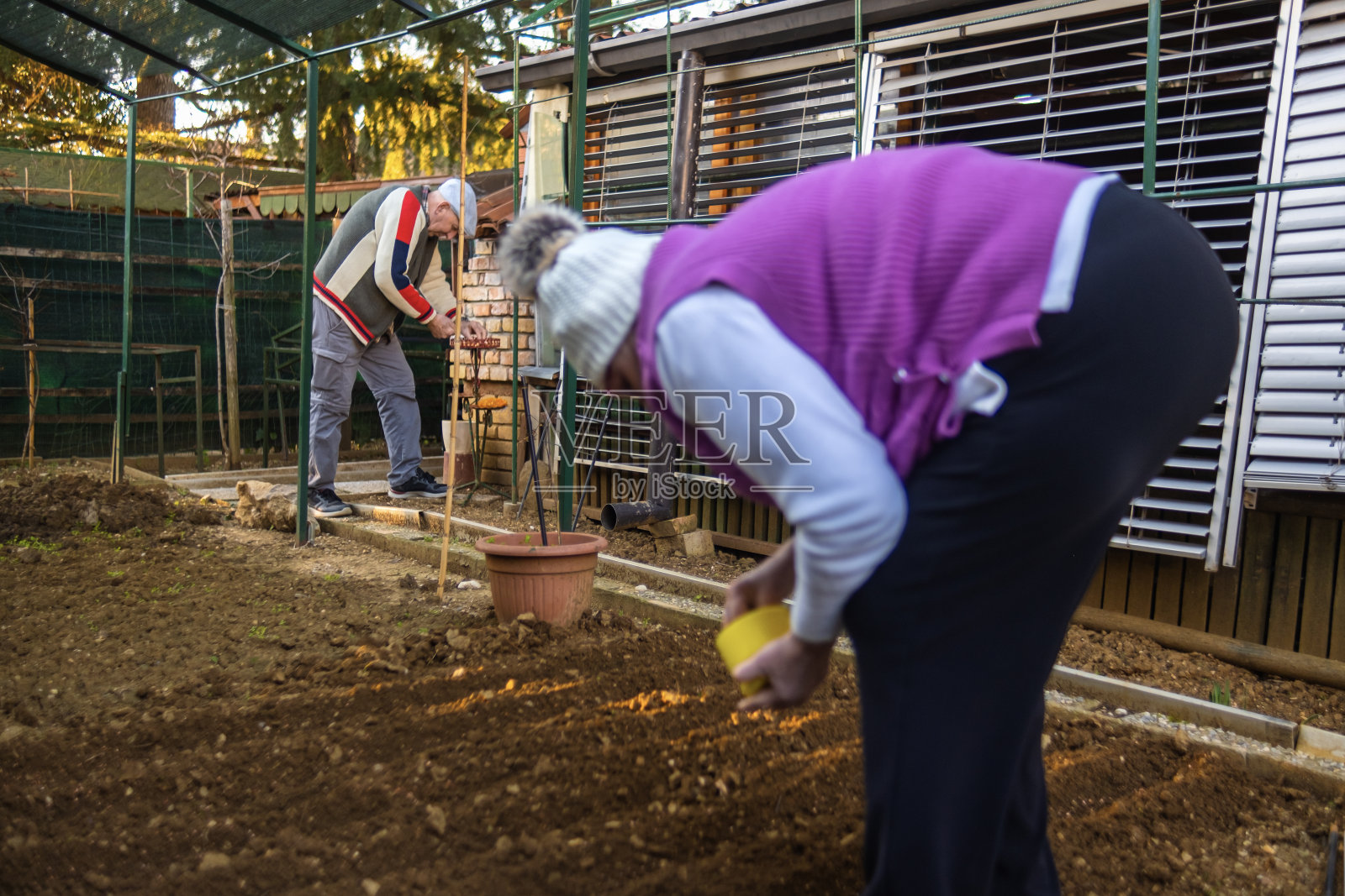 在他们的小花园里最伟大的高年级学生队伍照片摄影图片