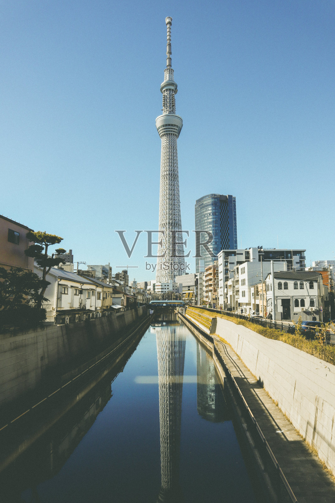 倒影中的东京晴空塔照片摄影图片