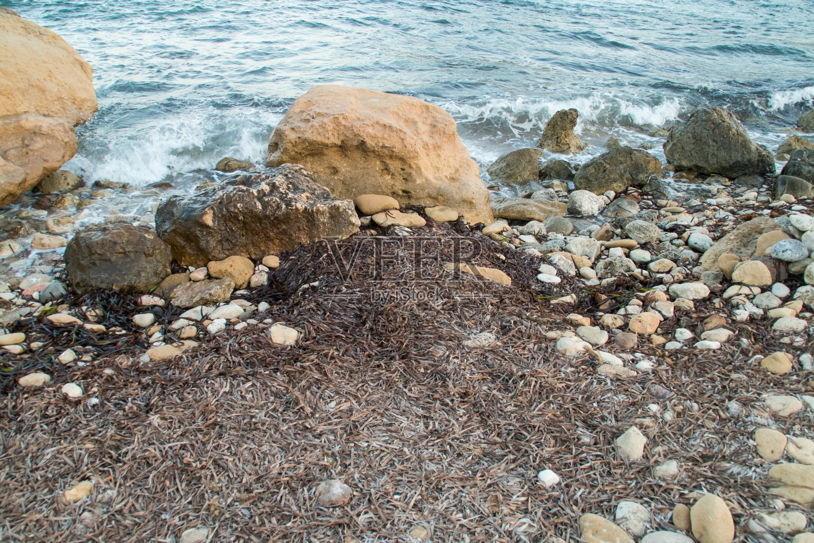 海滩上堆积的大洋洲波西多尼亚的残骸。照片摄影图片