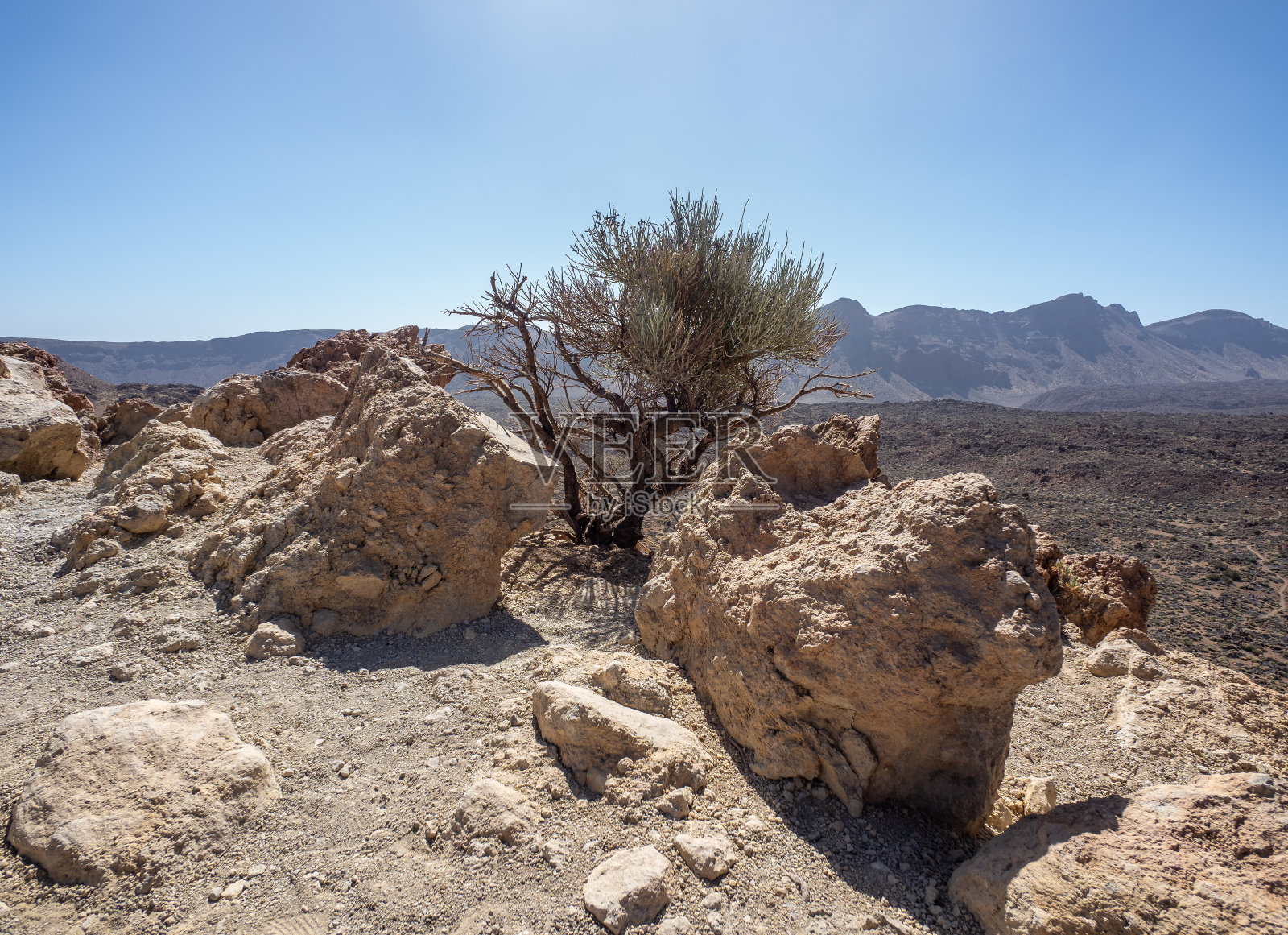 泰德国家公园的景观照片摄影图片