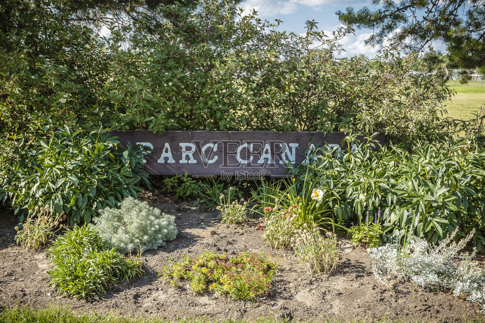 帕洛阿尔托研究中心加拿大照片摄影图片